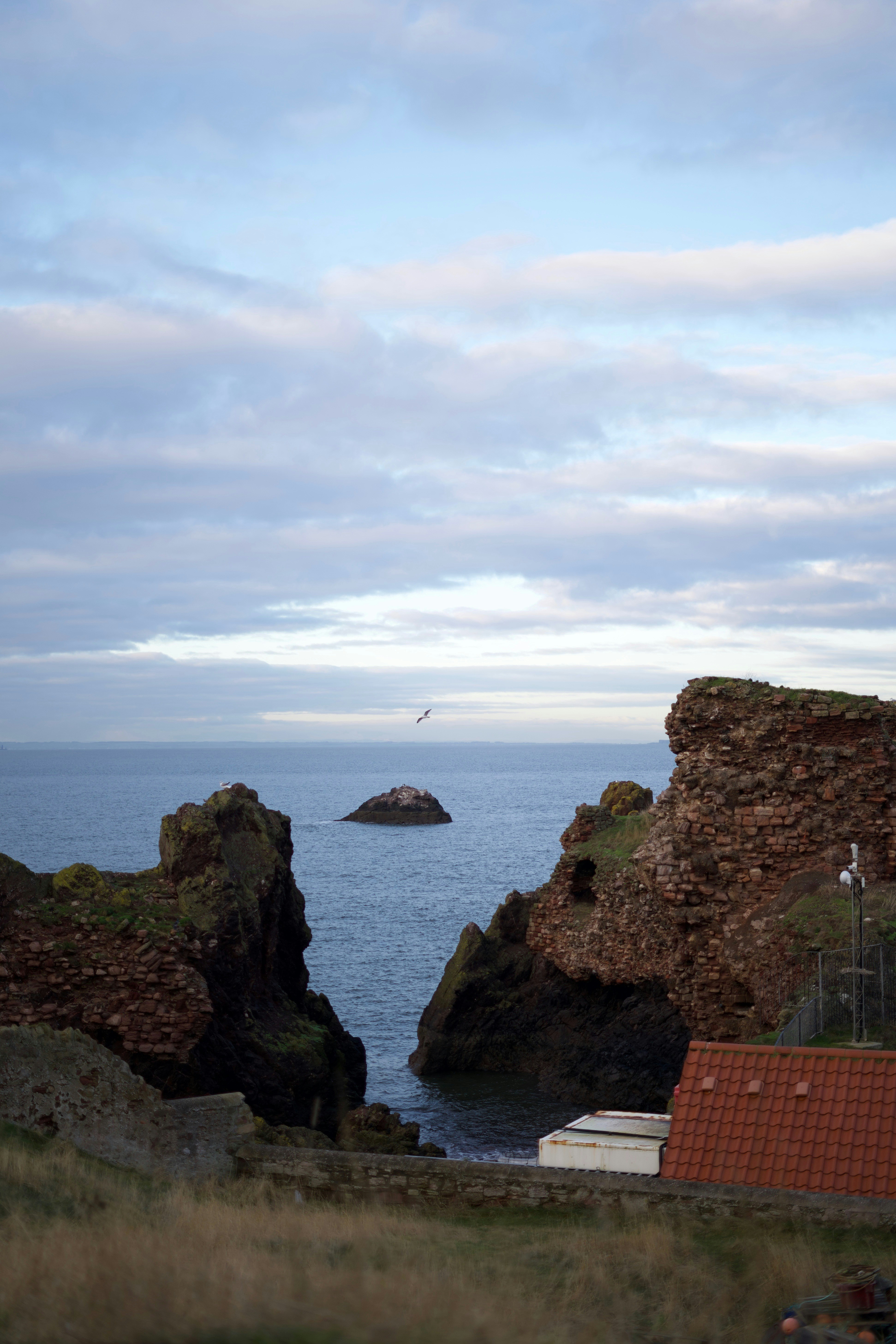 Photo by kris_verityamm