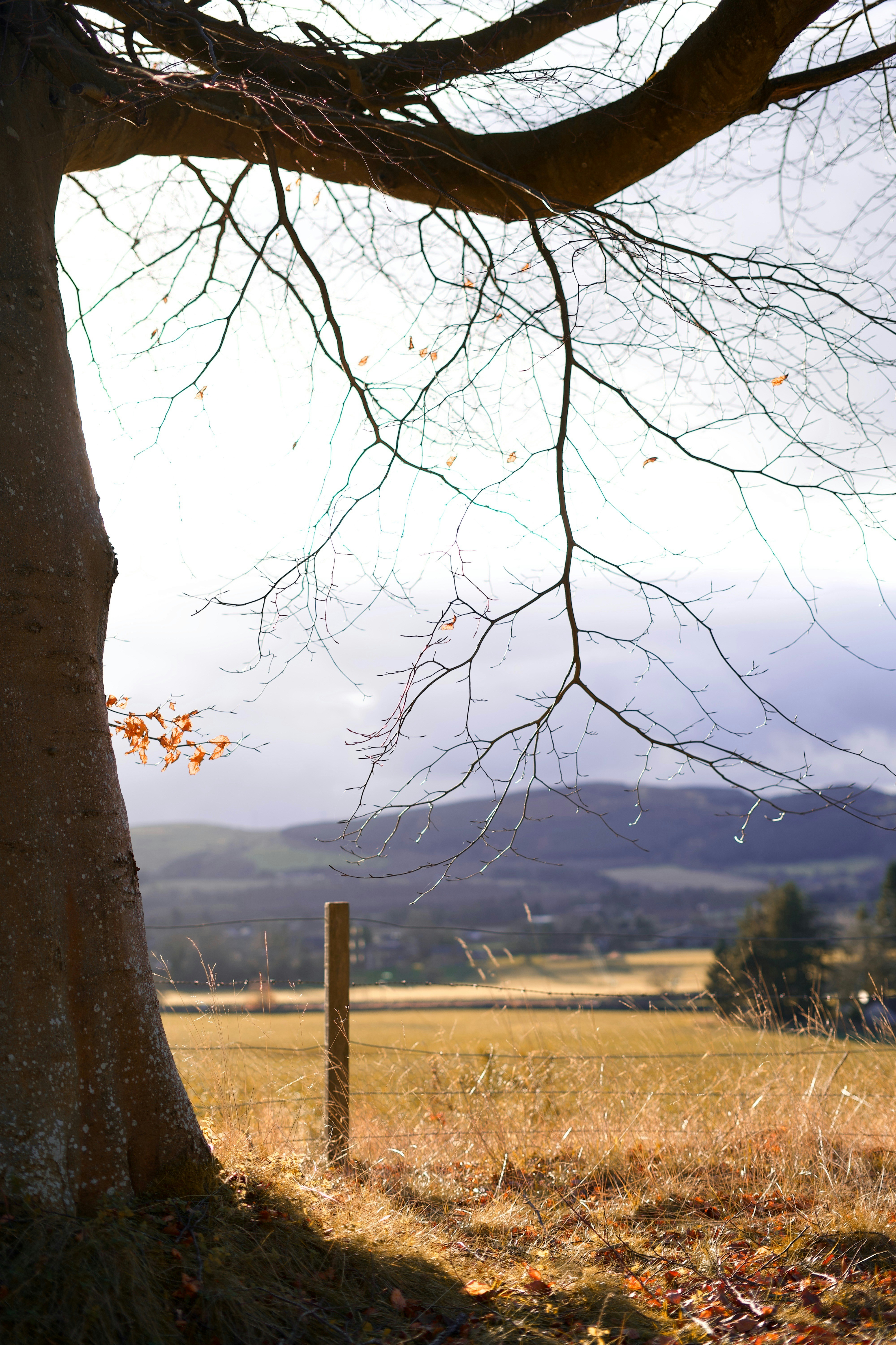 Photo by kris_verityamm