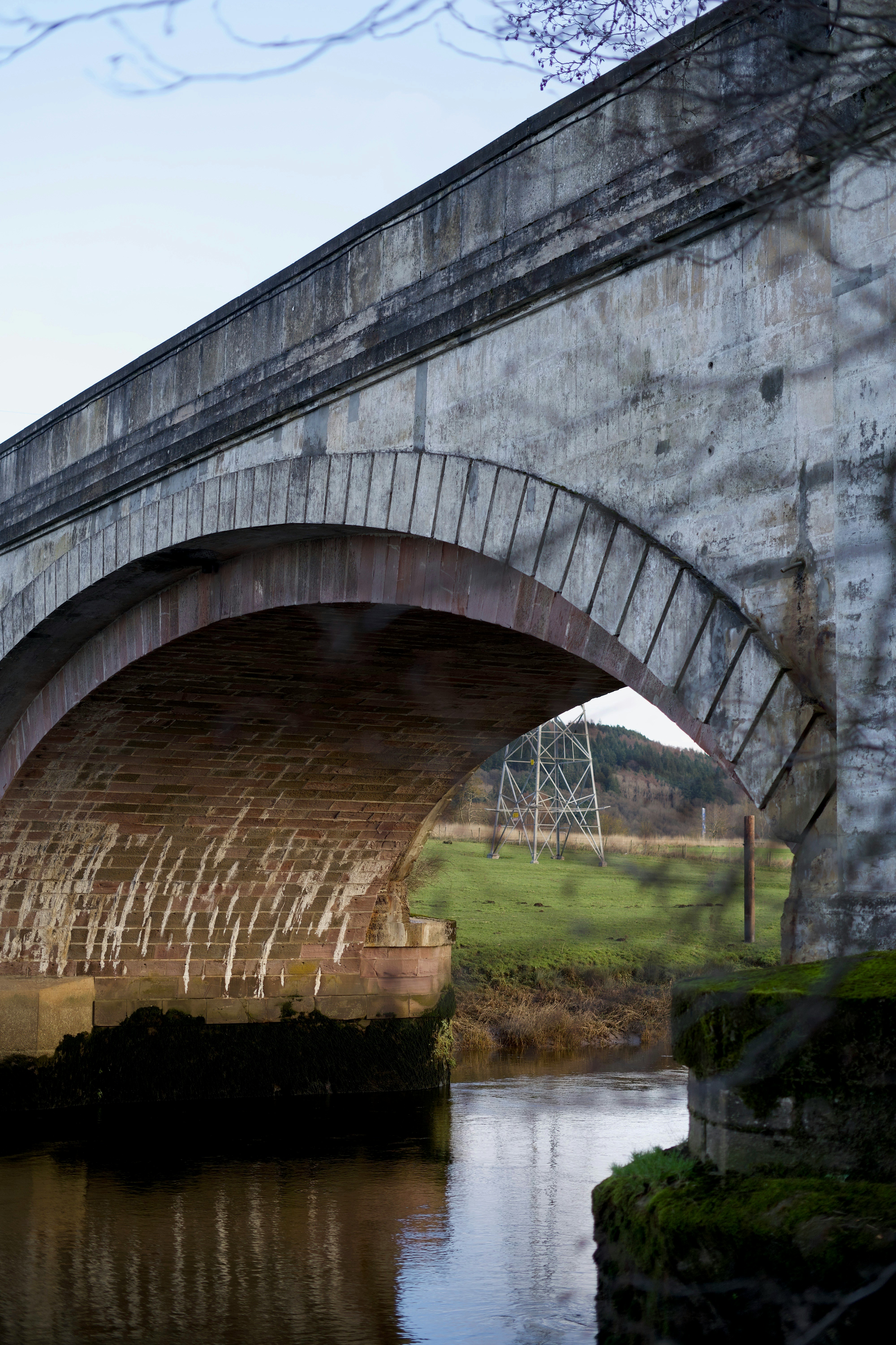 Photo by kris_verityamm