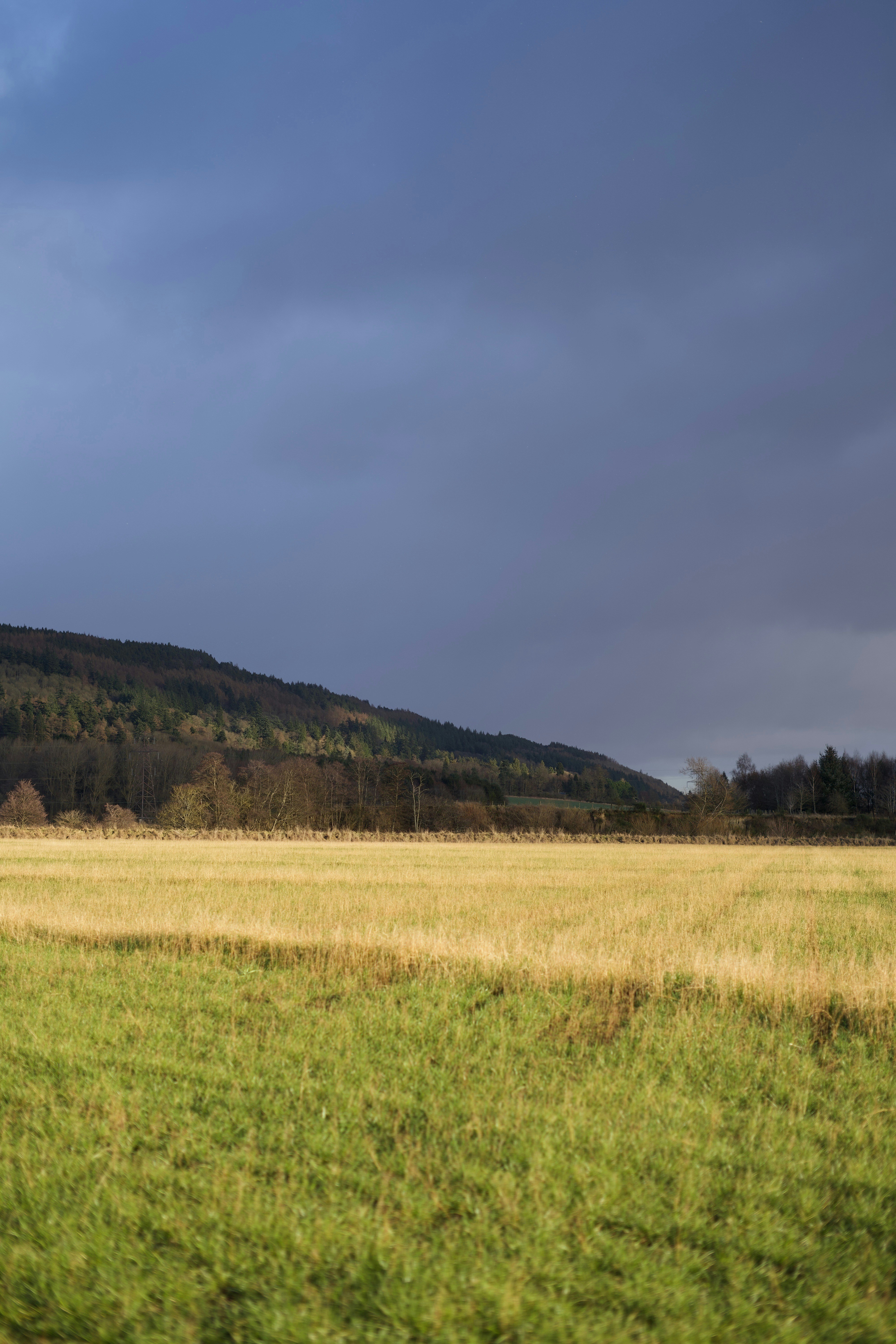 Photo by kris_verityamm