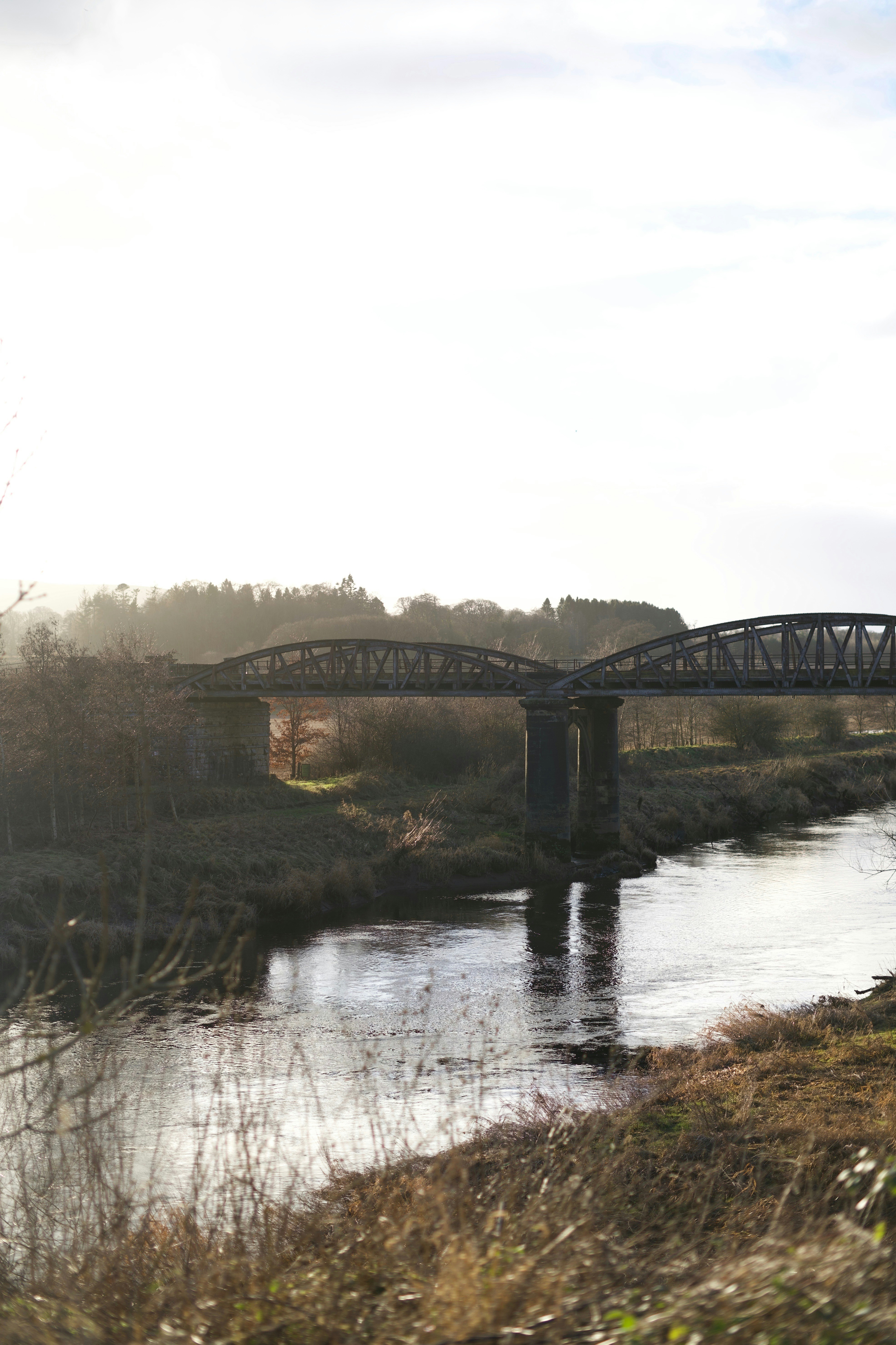 Photo by kris_verityamm