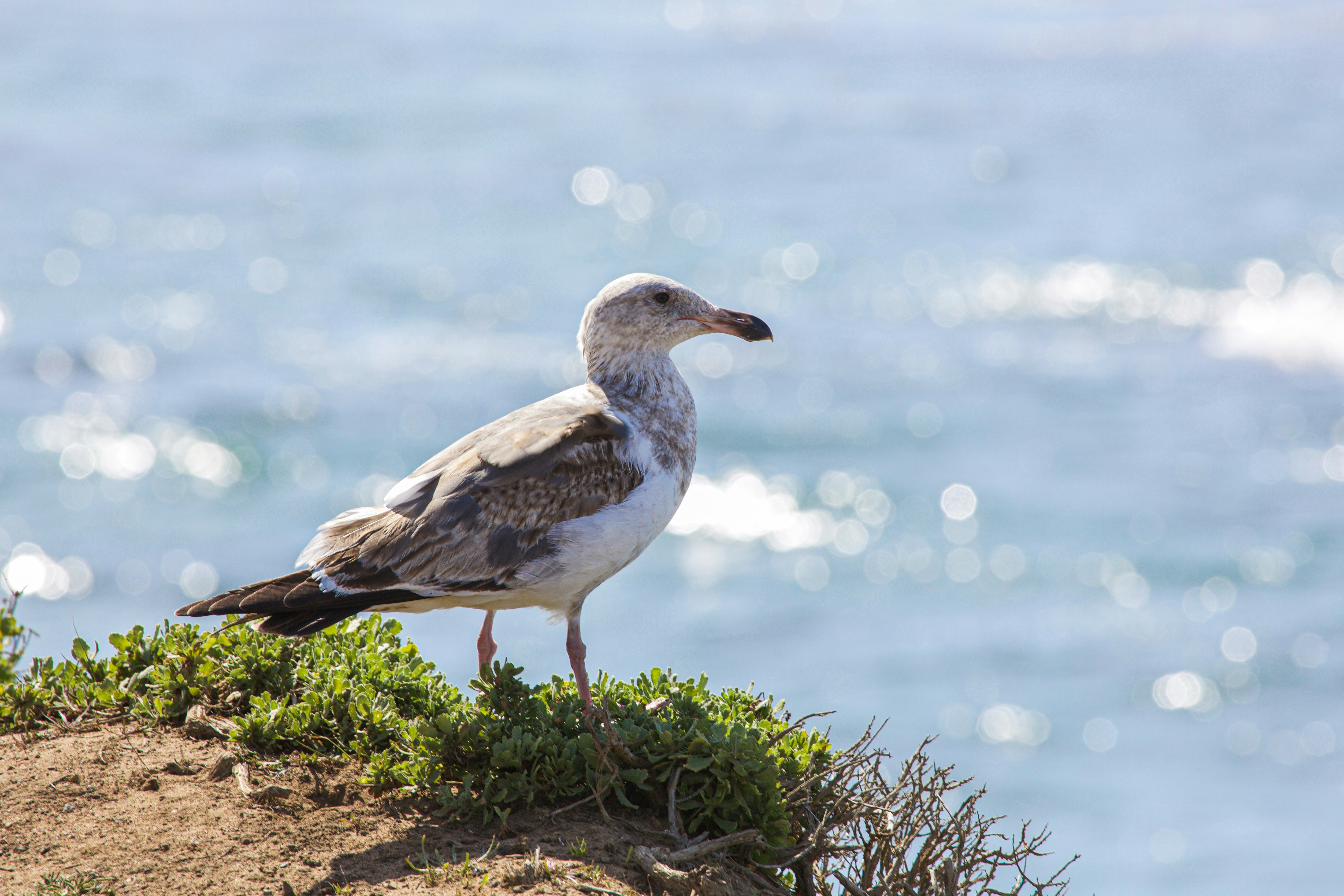 Photo by matthewmentley