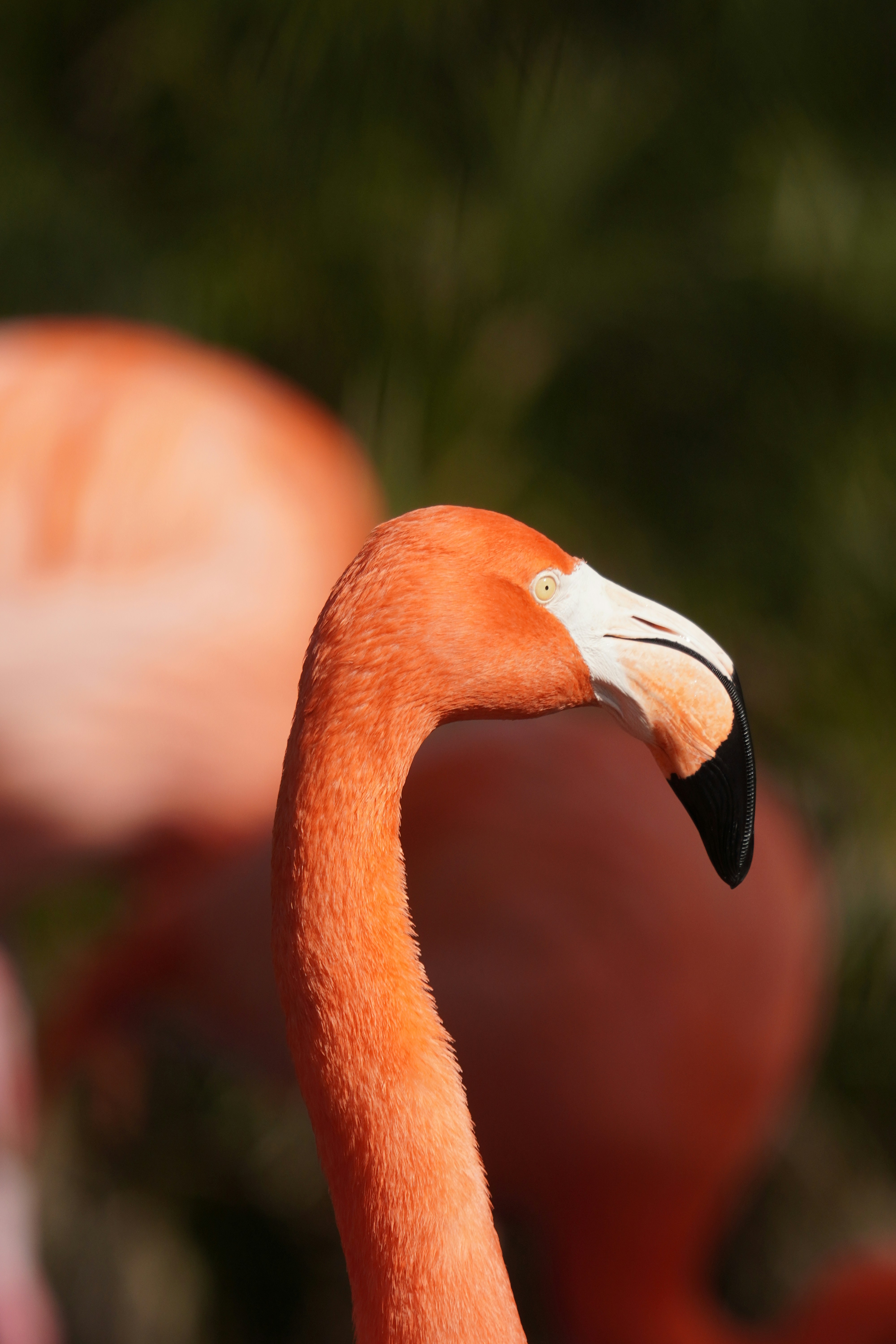 Photo by kevinpalacio30