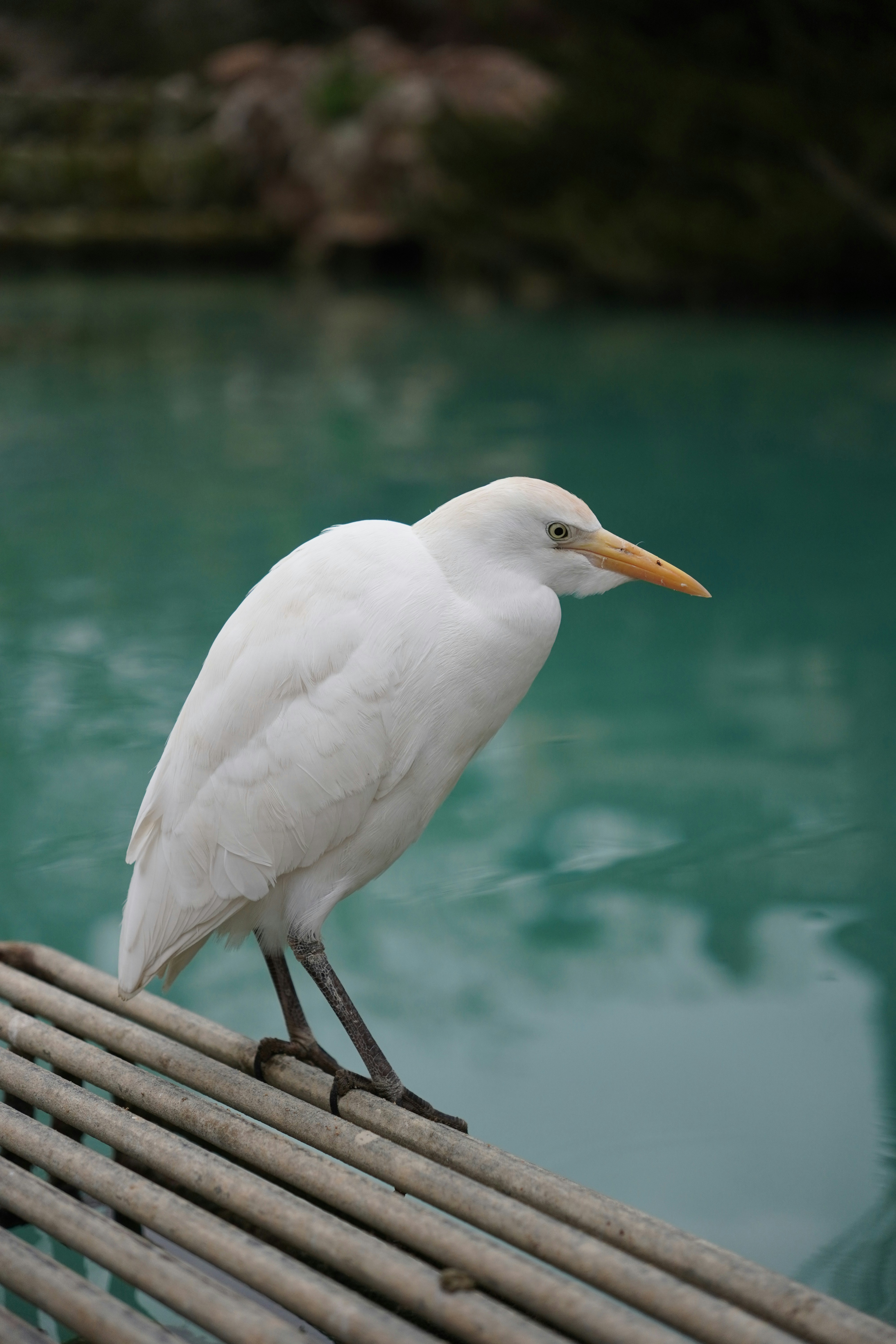 Photo by kevinpalacio30