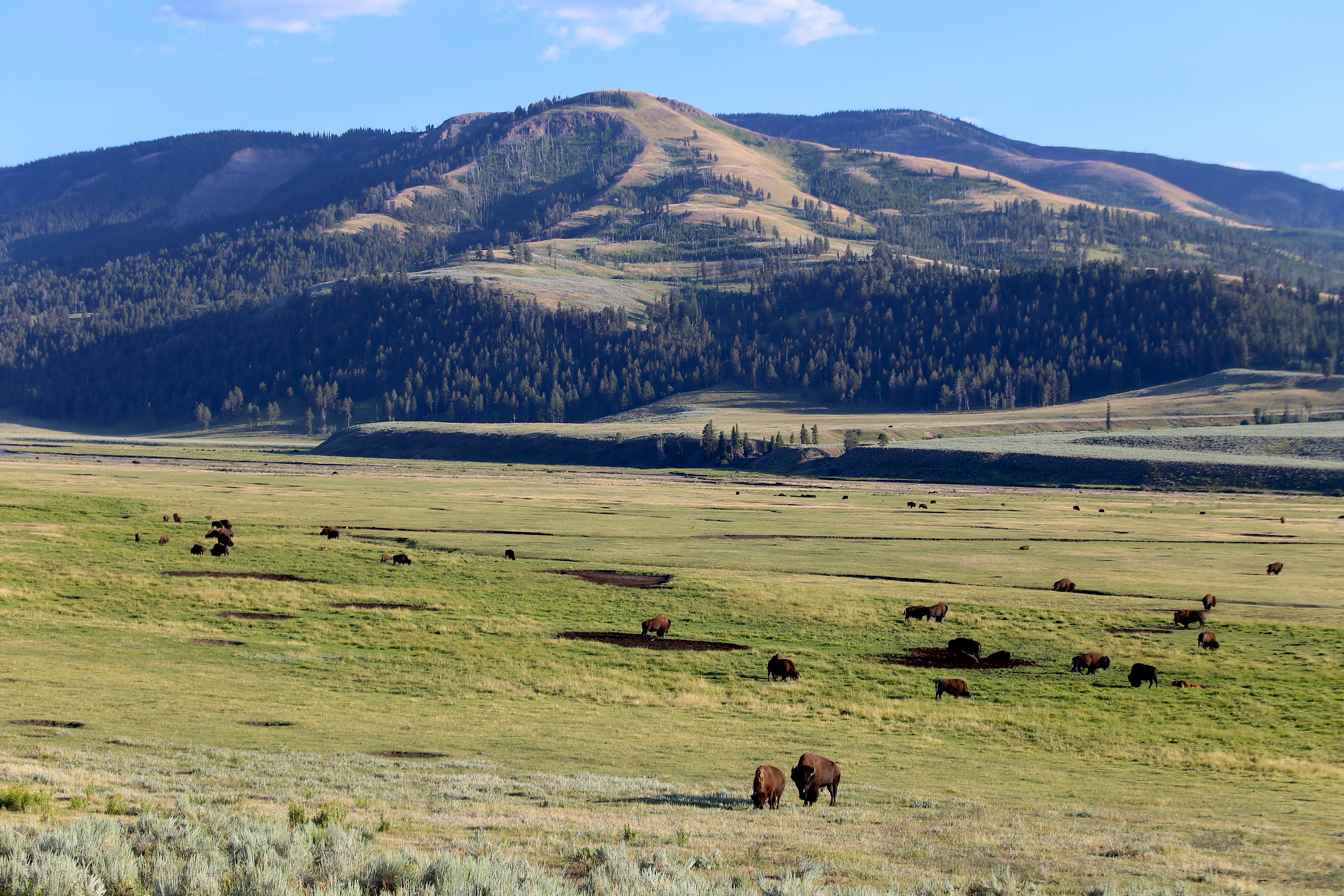 The Real Yellowstone