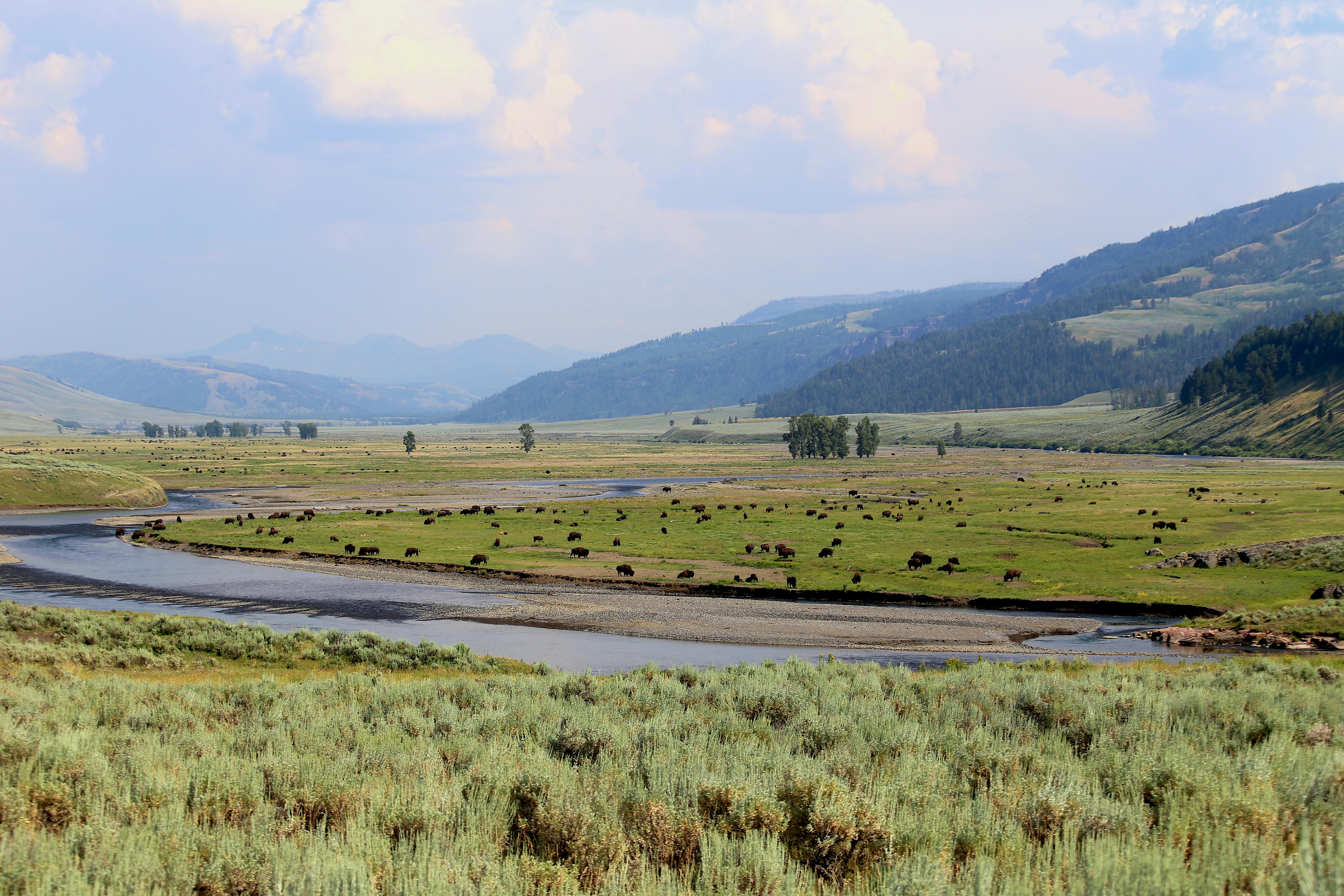 Photo by amalbaugh