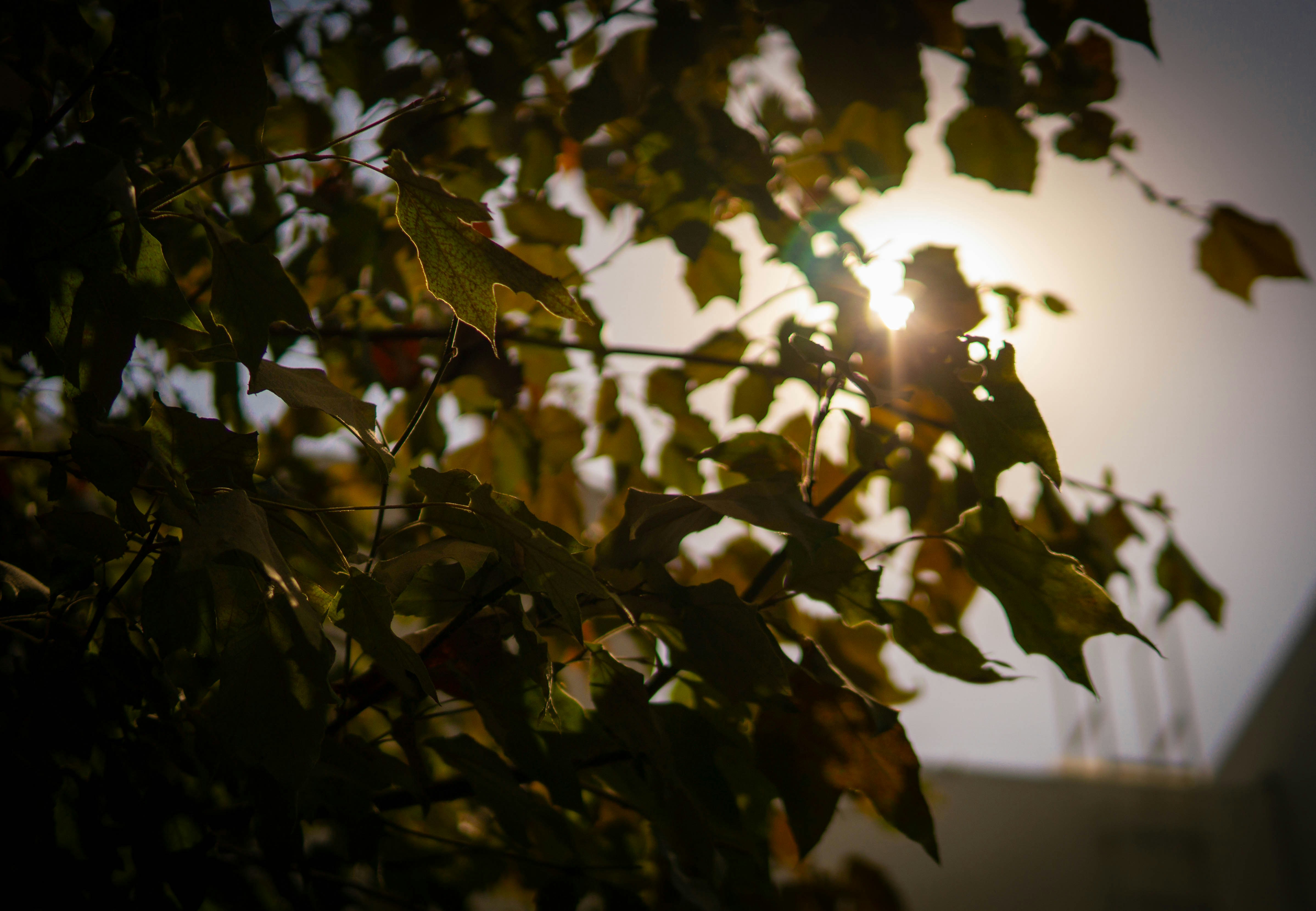 Photo by rafa_jimenez