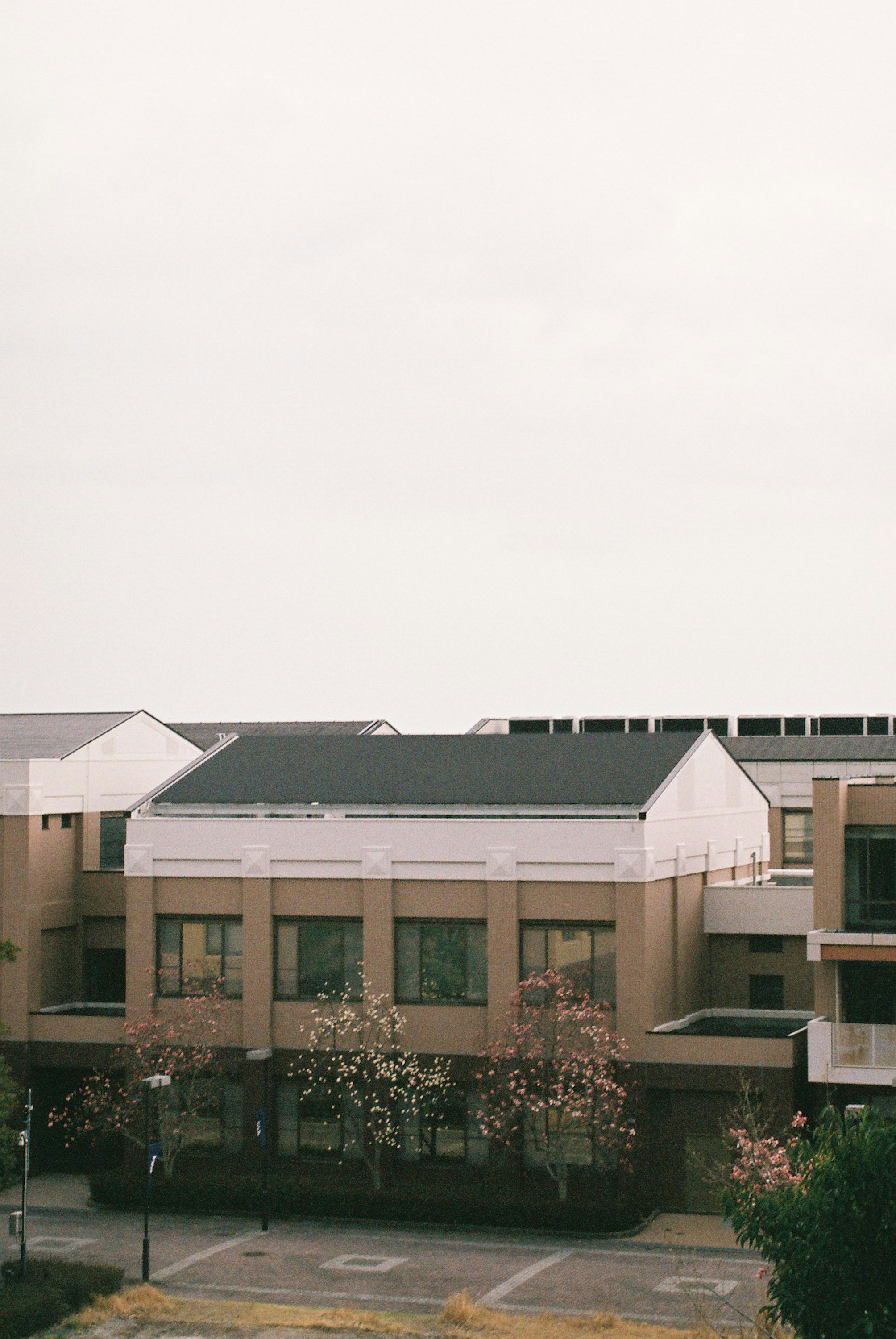 Photo by ourlatestnumber