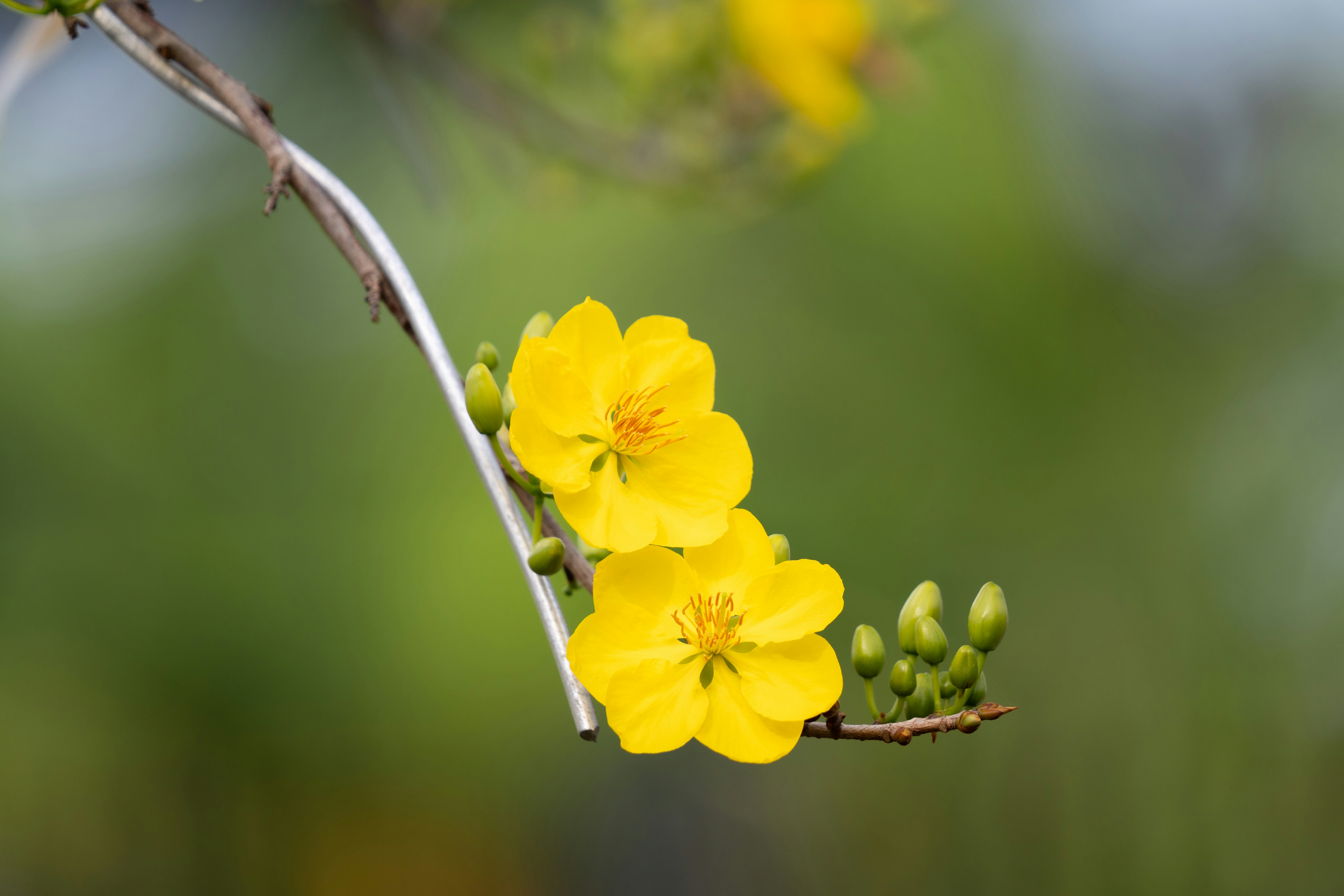 Photo by thomspon_le