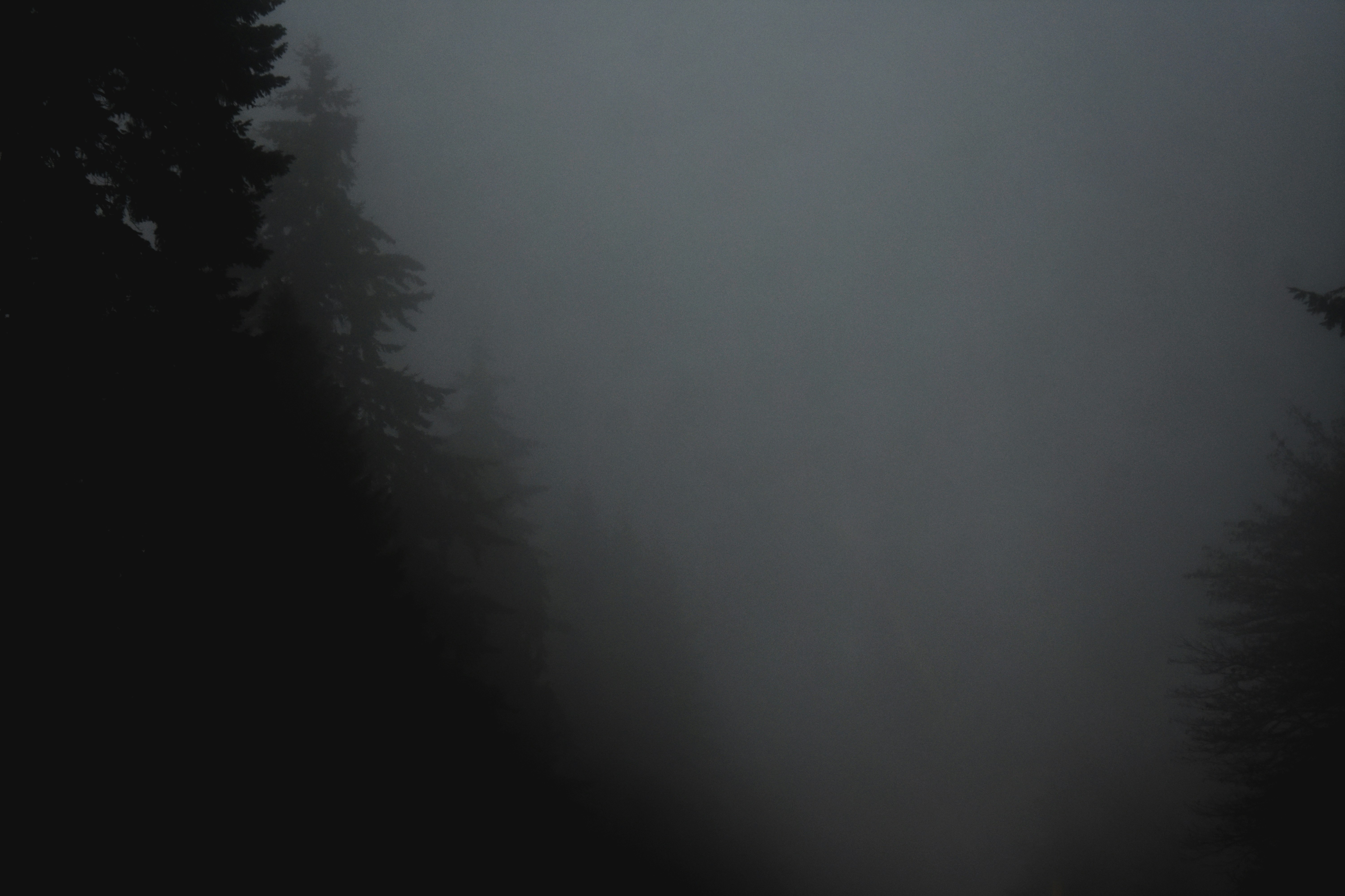 Photo by myshegotripped