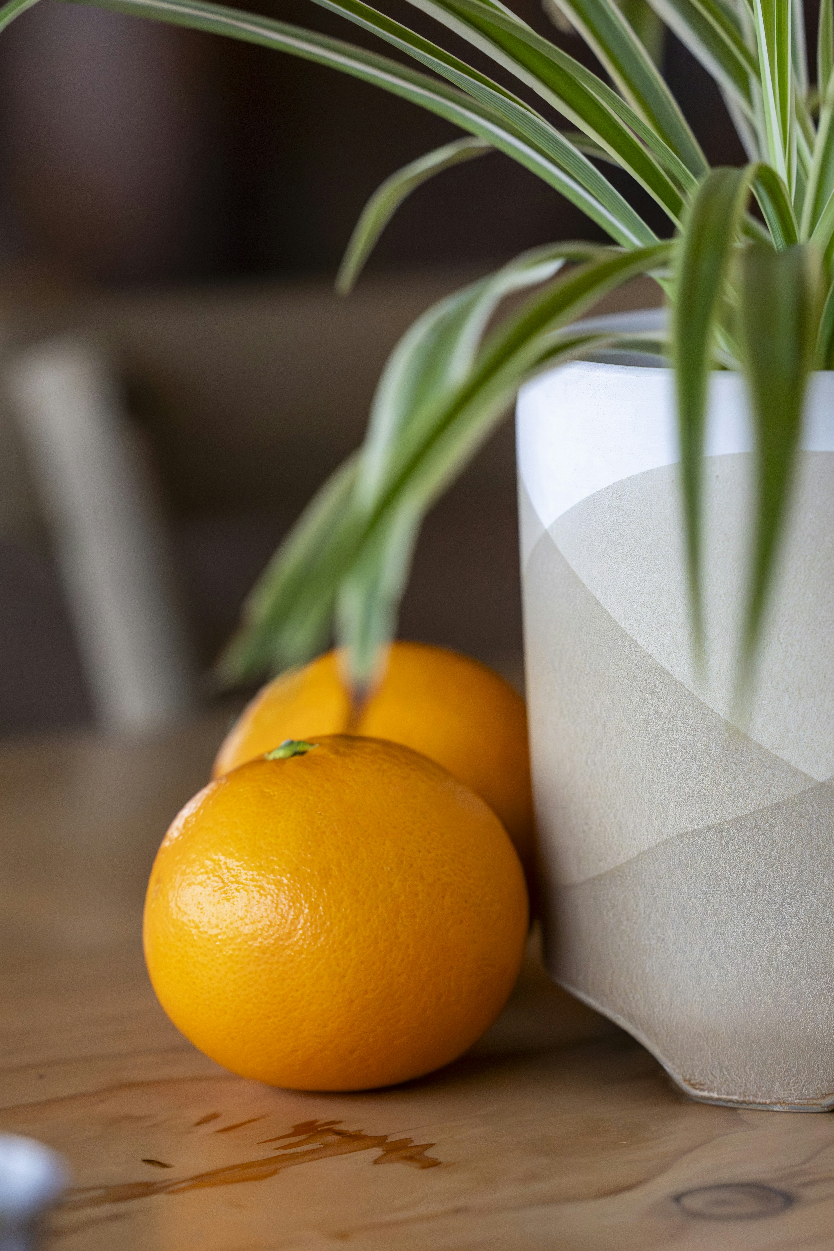 Photo by leo_visions_