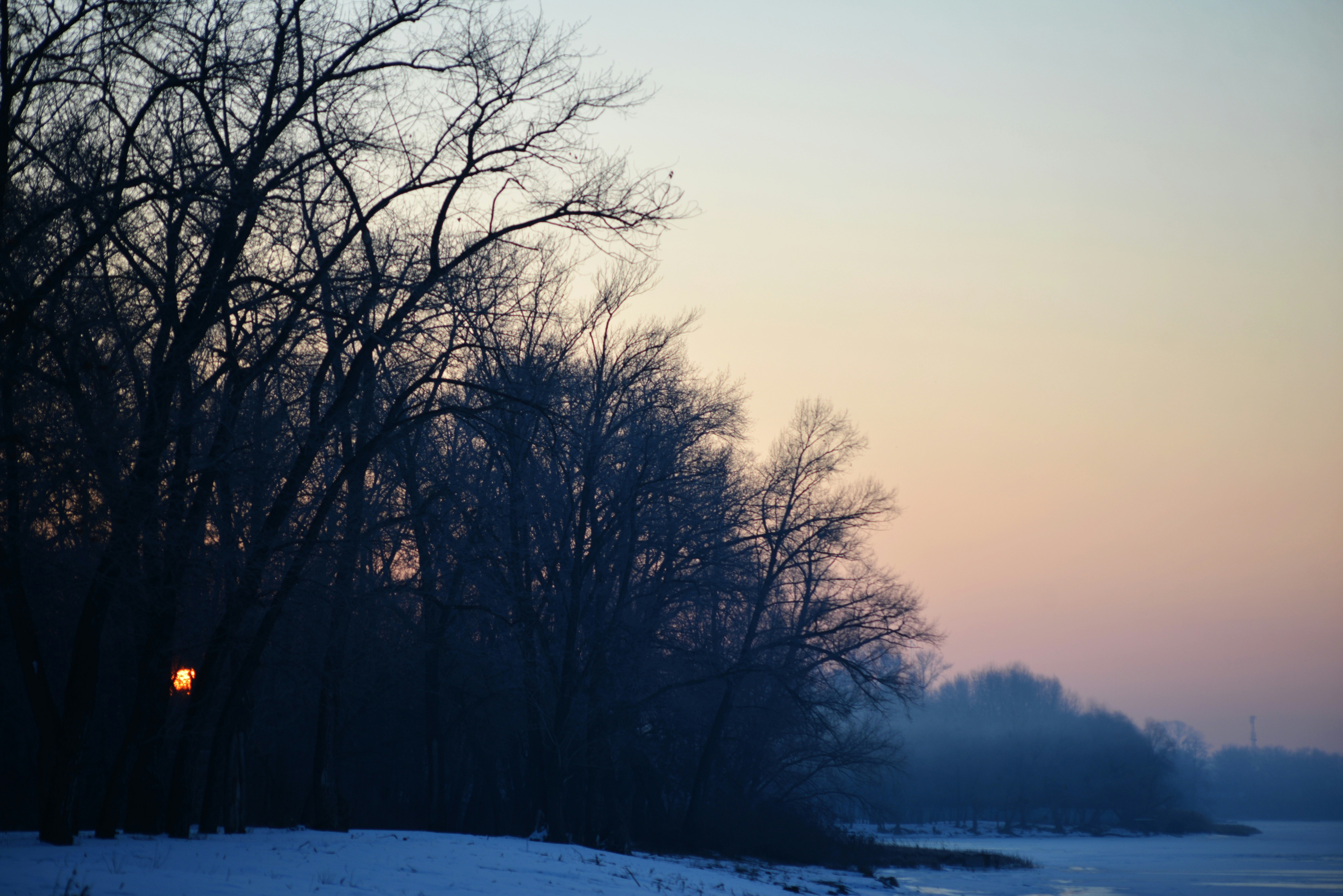 Photo by cherstve_pechivo