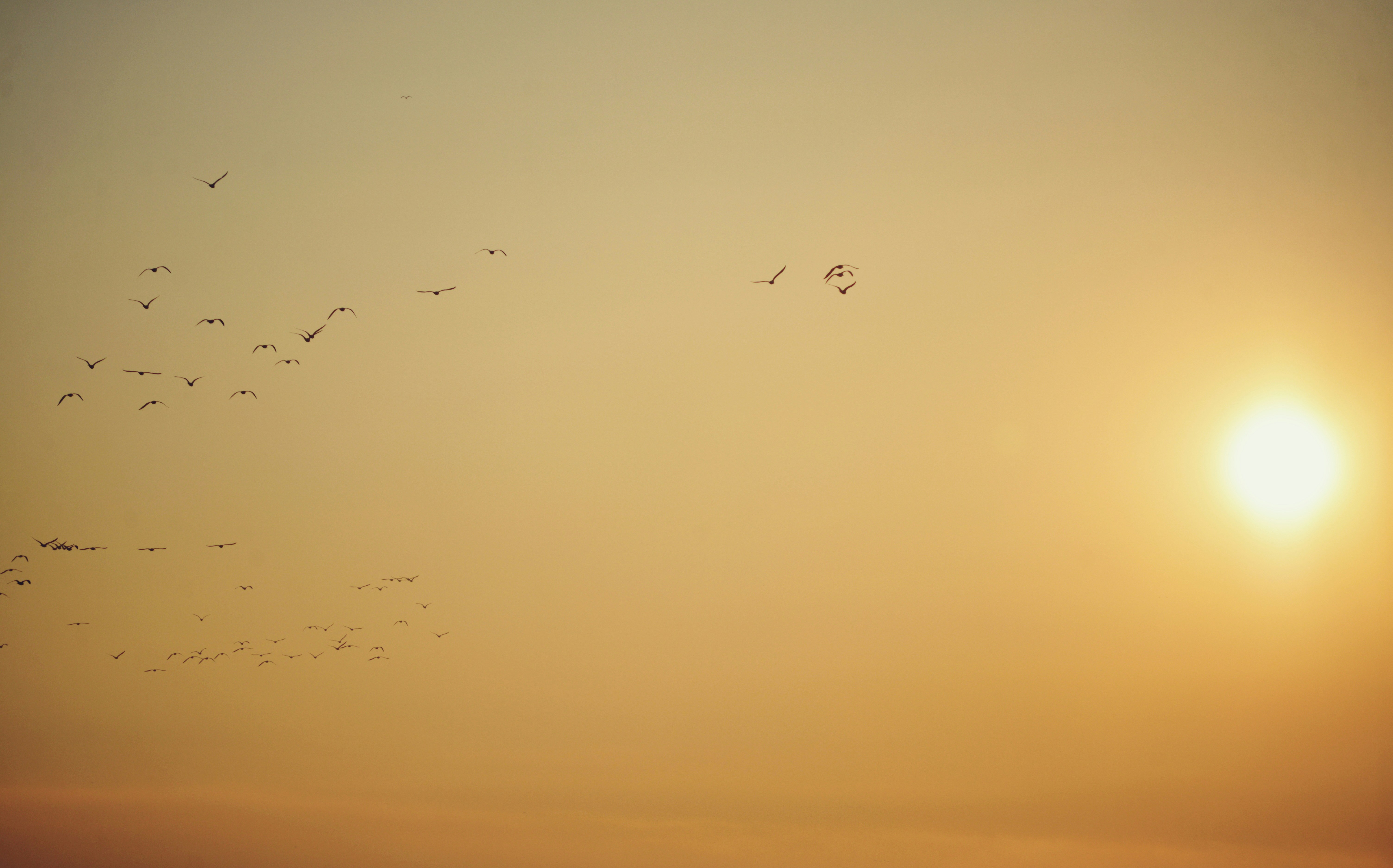 Photo by cherstve_pechivo