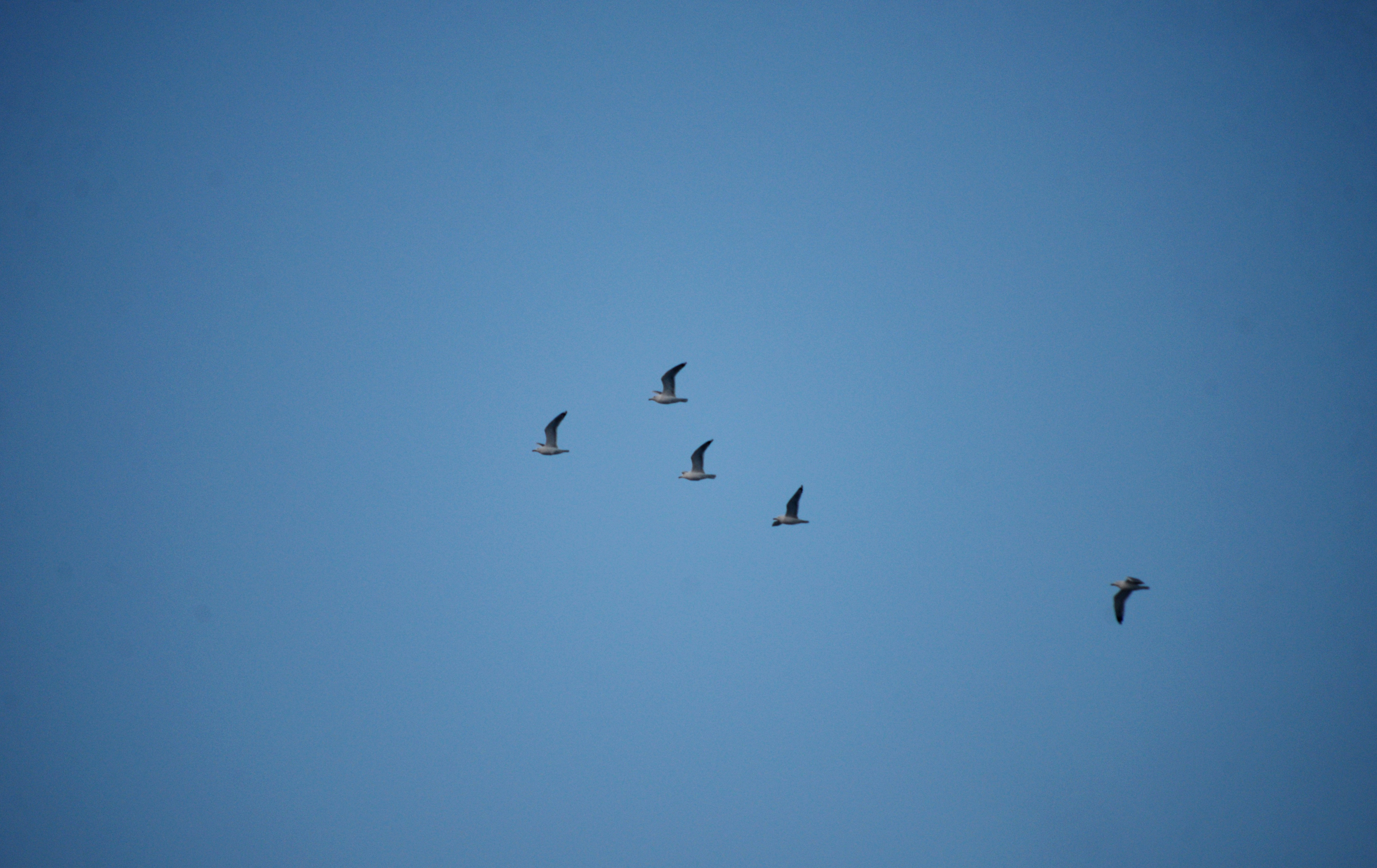 Photo by cherstve_pechivo