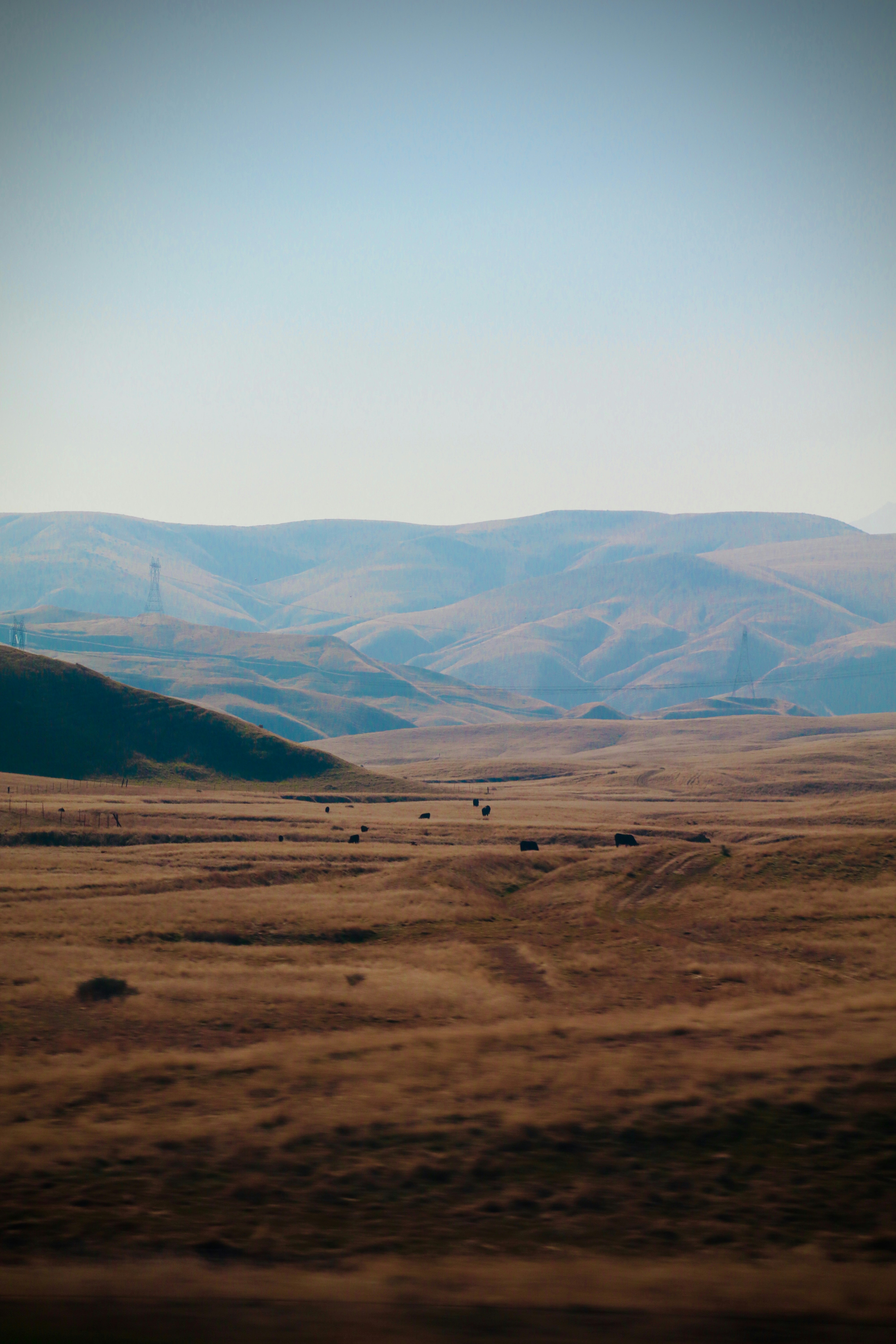 Photo by sarguninder