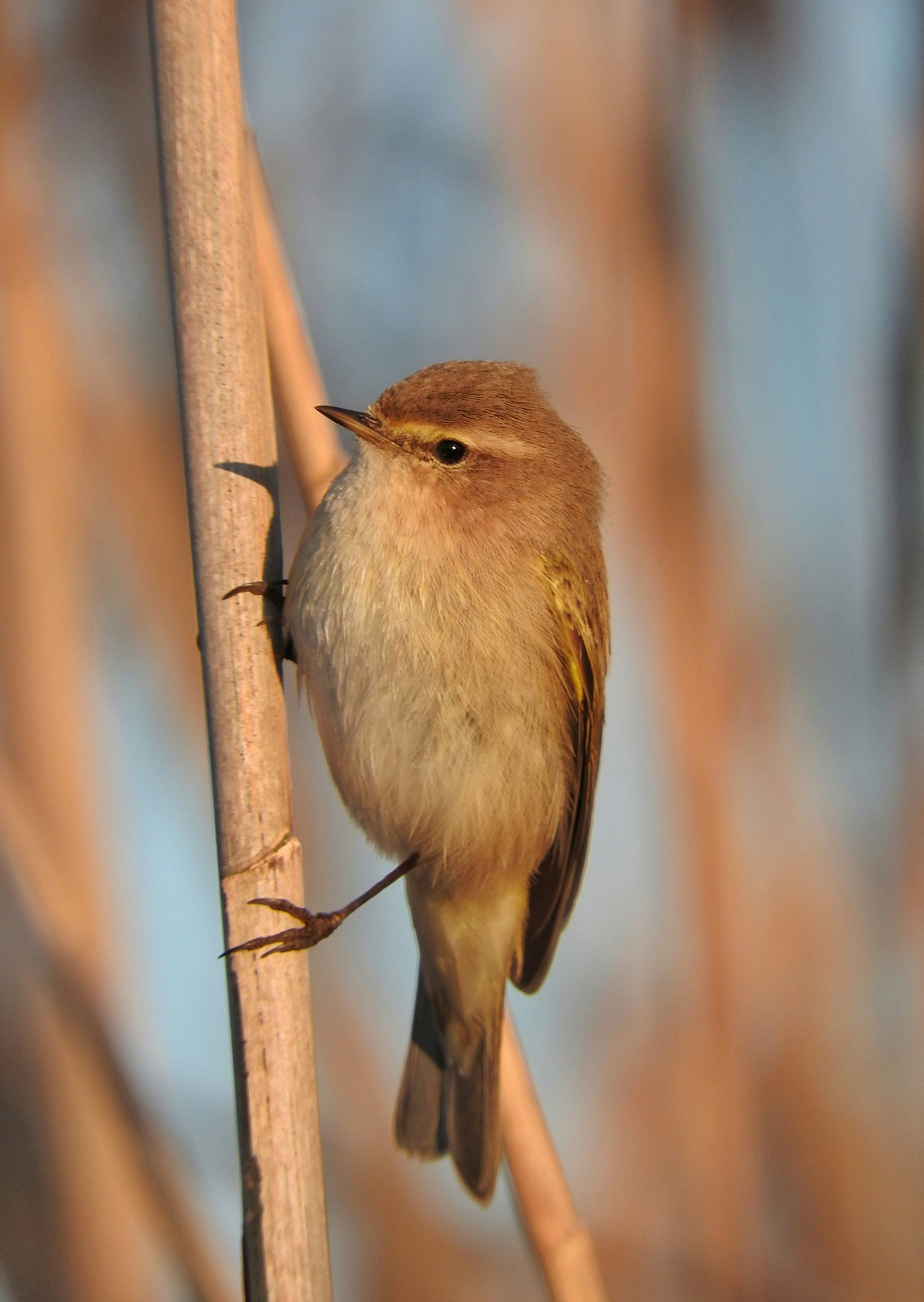 Photo by emadtahaei