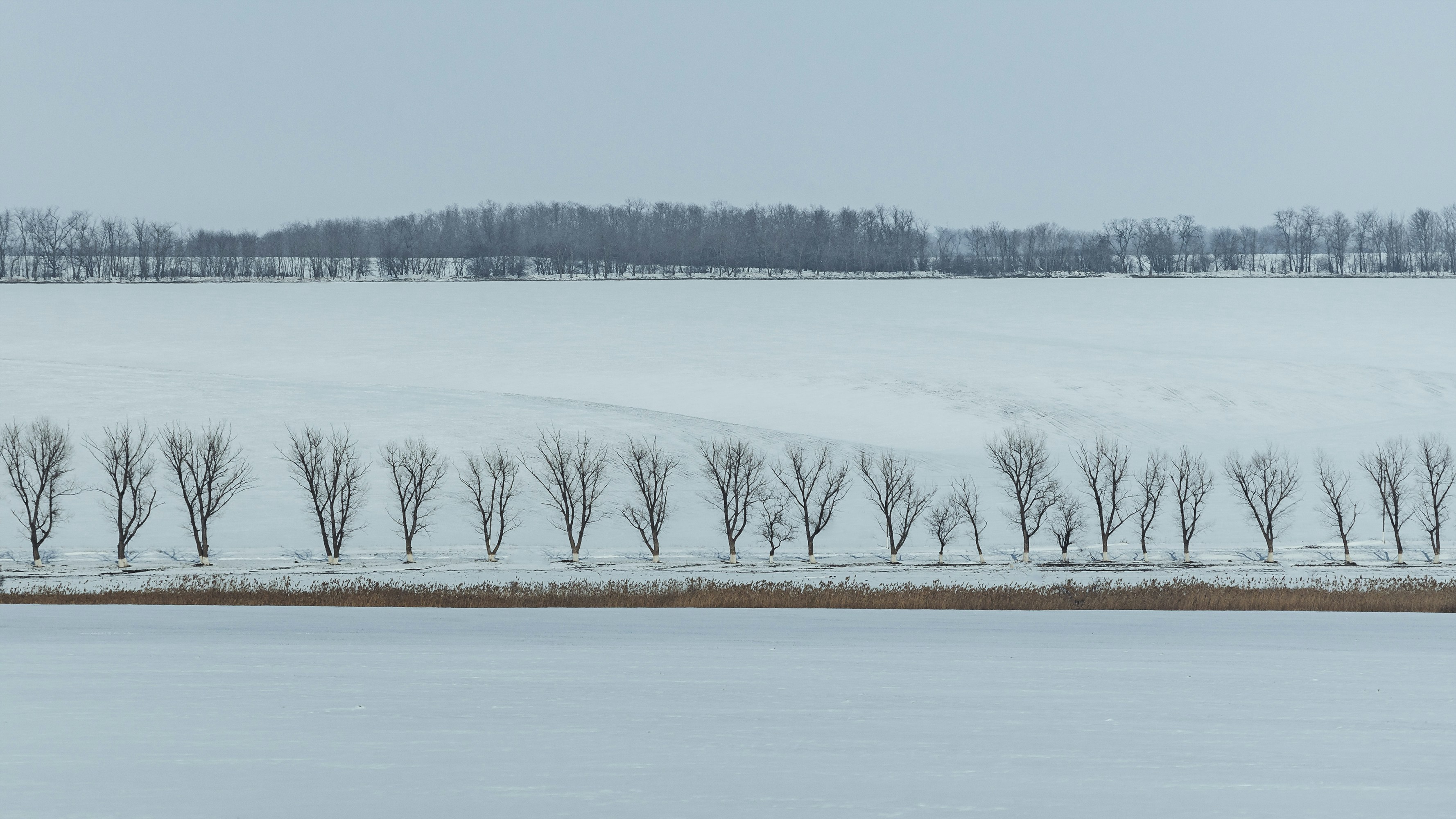 A snow covered field with trees in the distance