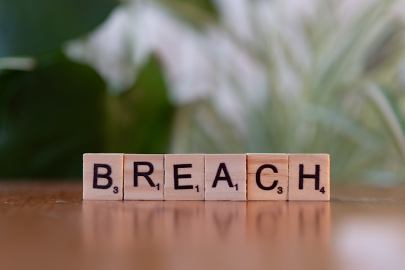 HWL Ebsworth Hack: Ransomware Gang Steals 4TB from Australia's Largest Law Firm