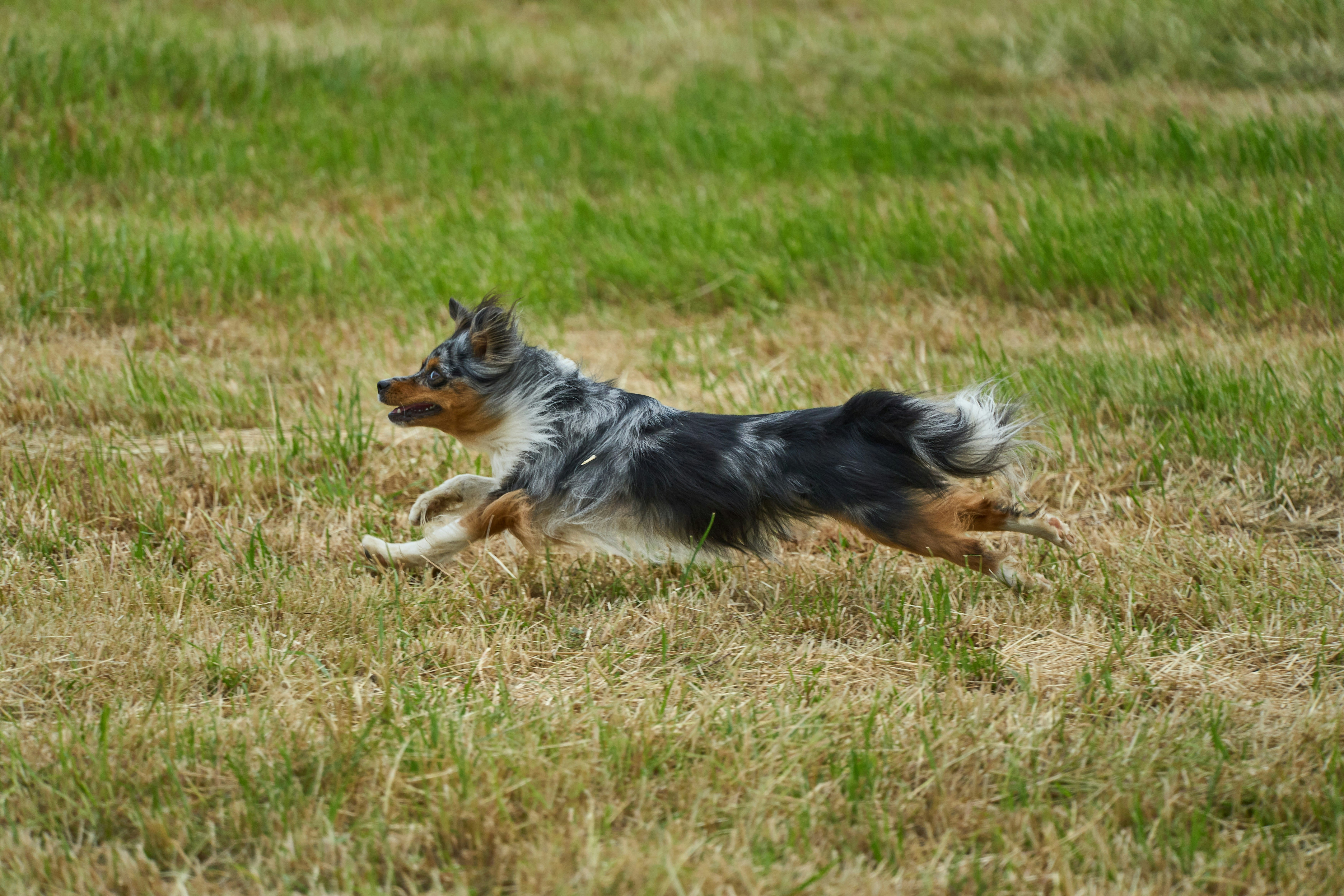 Photo by wolfgang_hasselmann