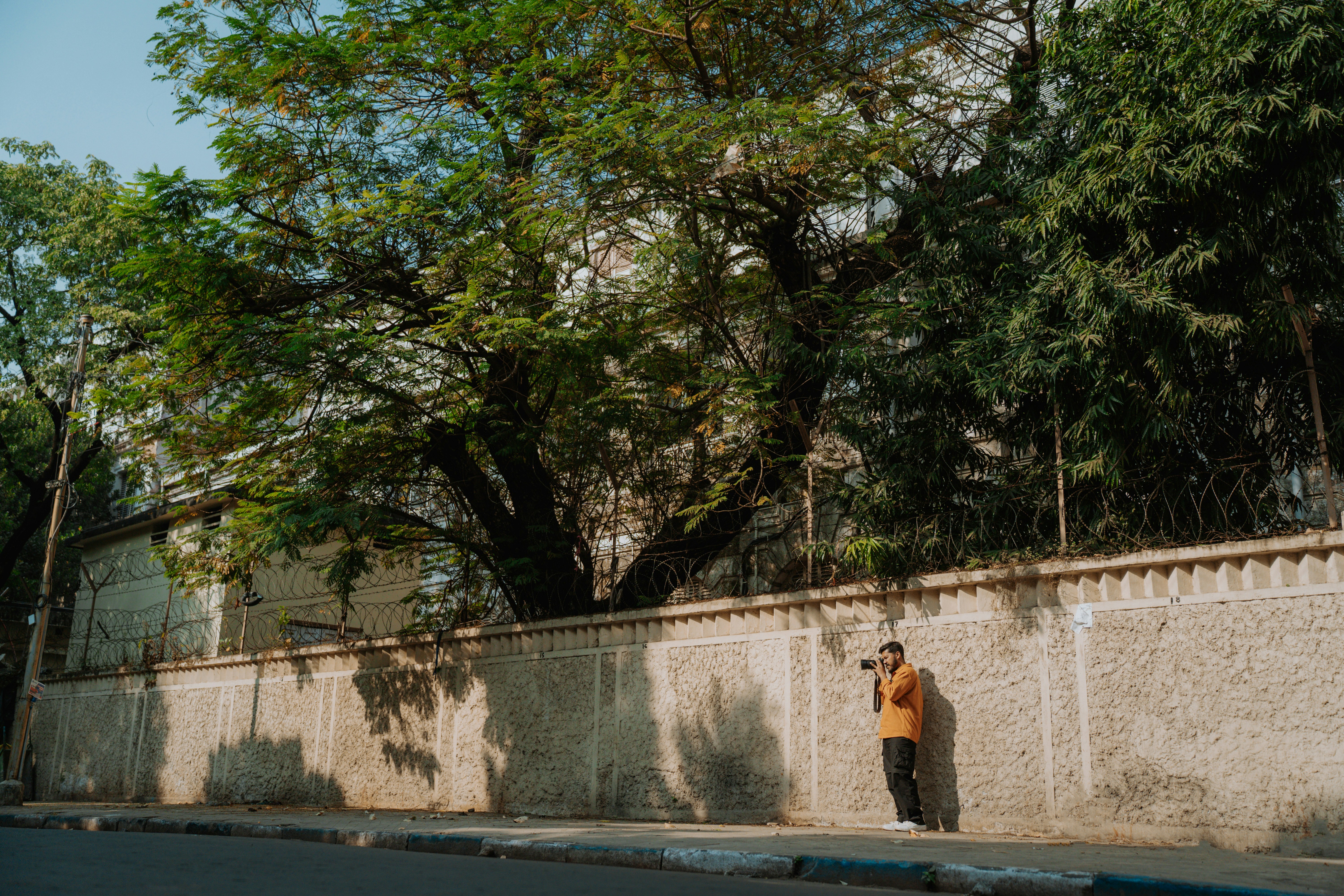 A man standing on the side of a road next to a tree