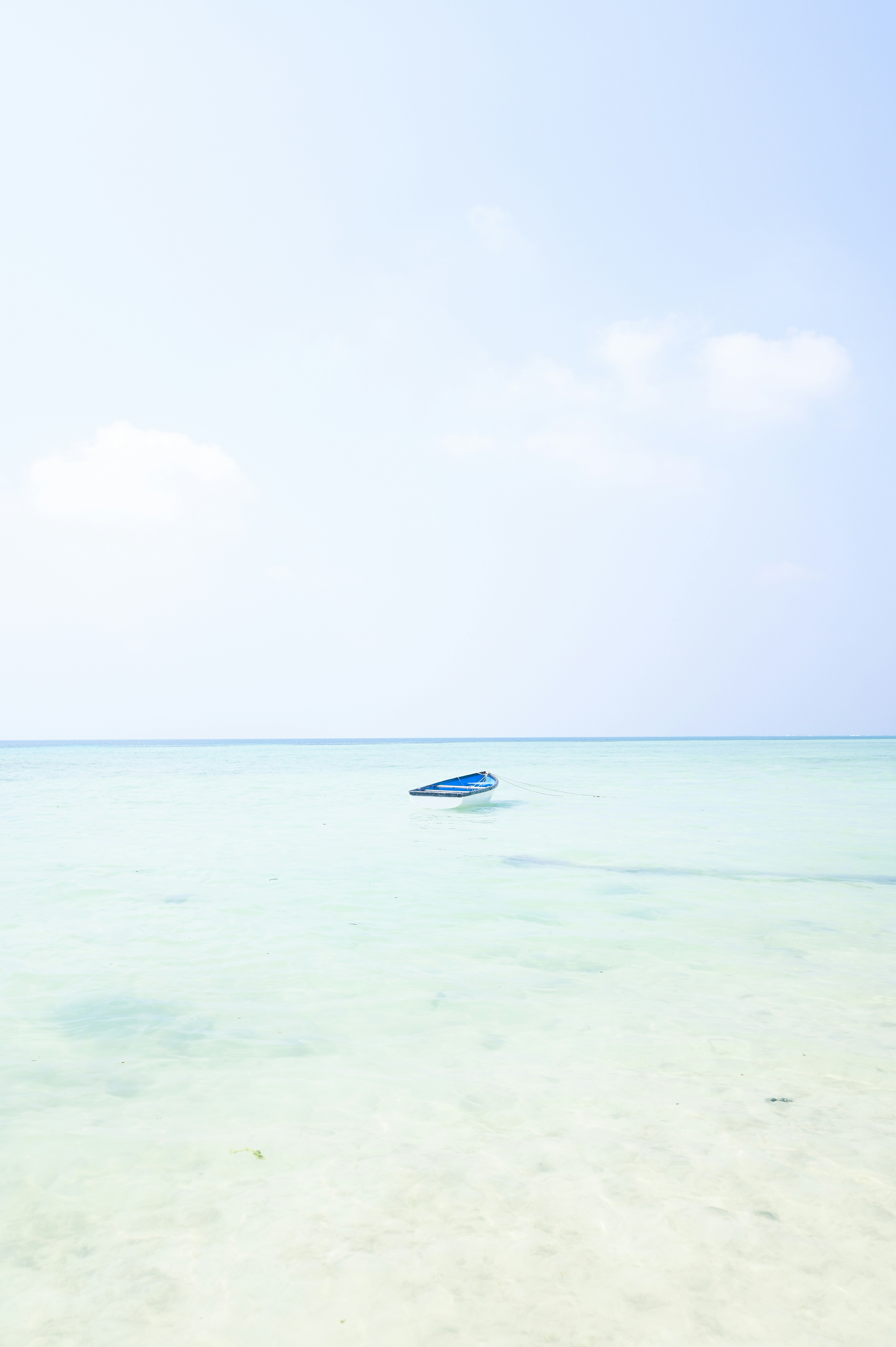 Photo by studiocastle7