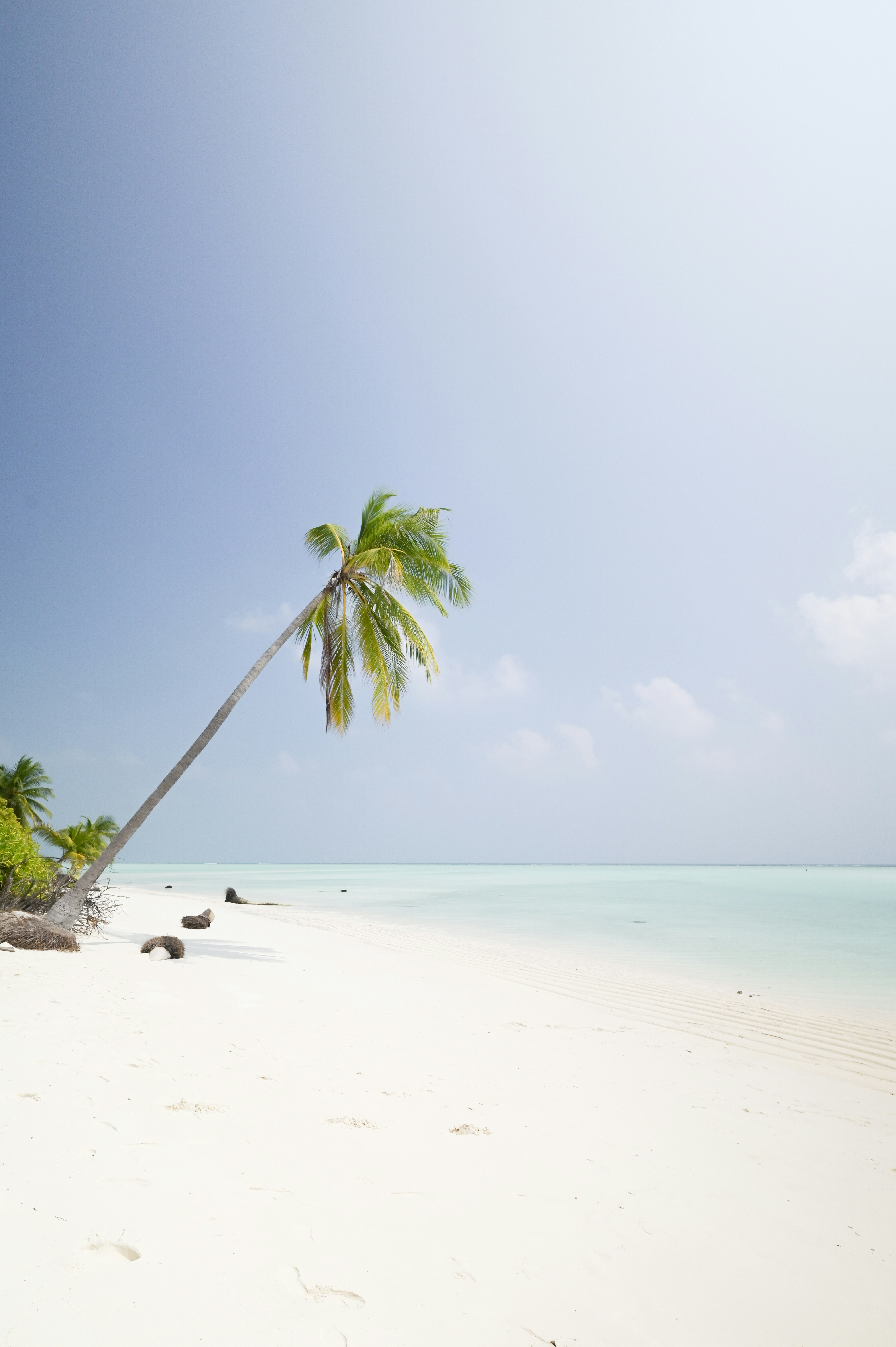 Photo by studiocastle7