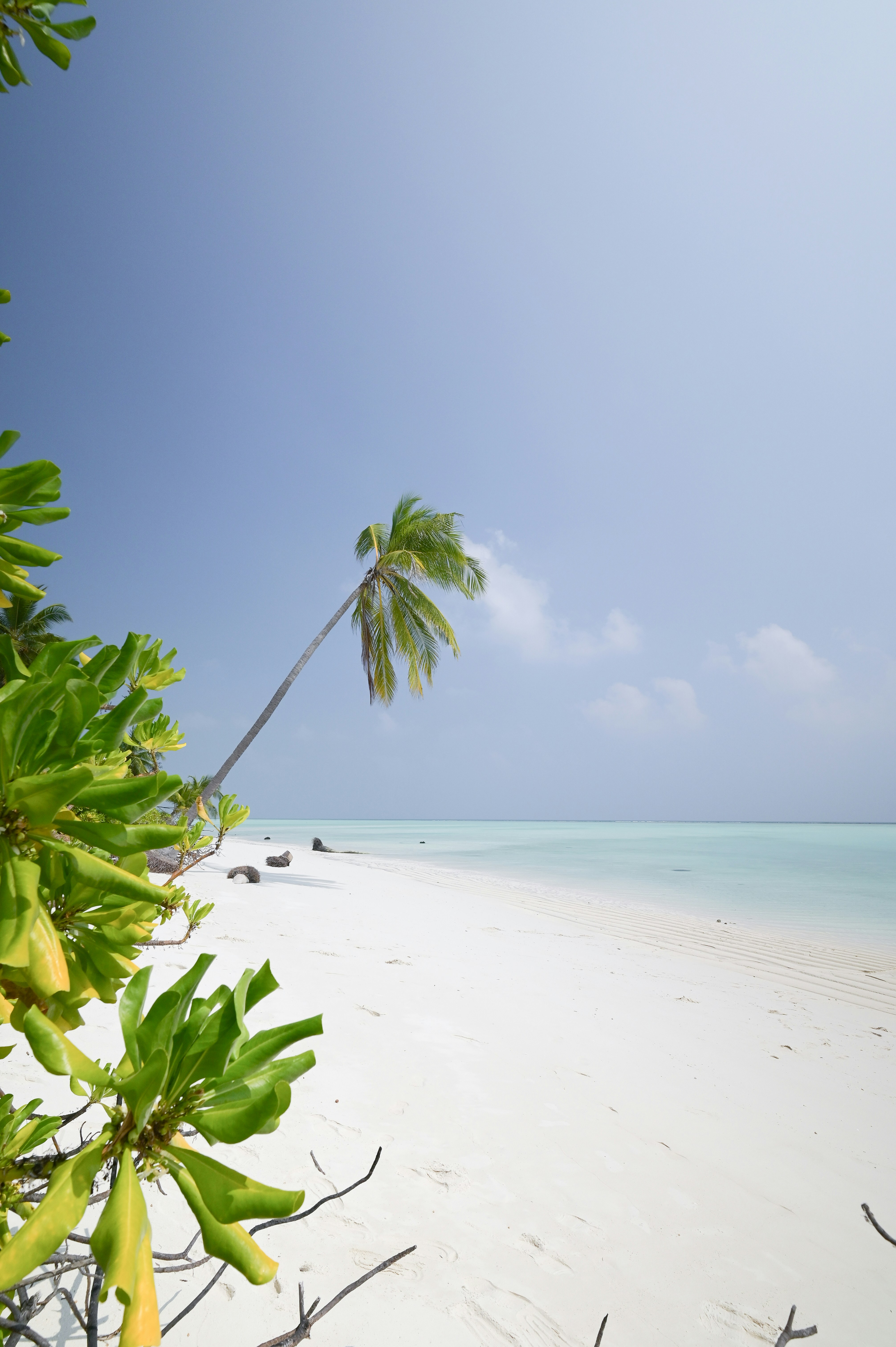 Photo by studiocastle7