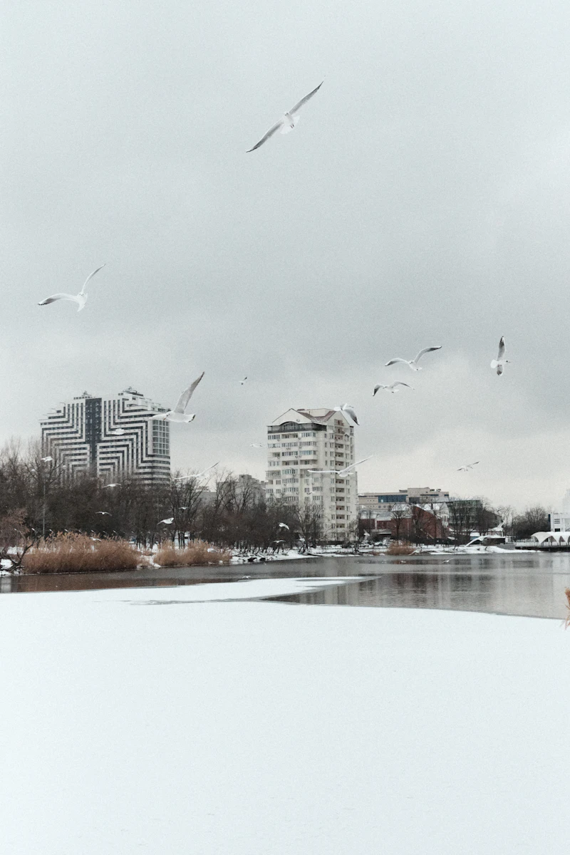 Санкт-Петербург → Краснодар — дешёвые авиабилеты