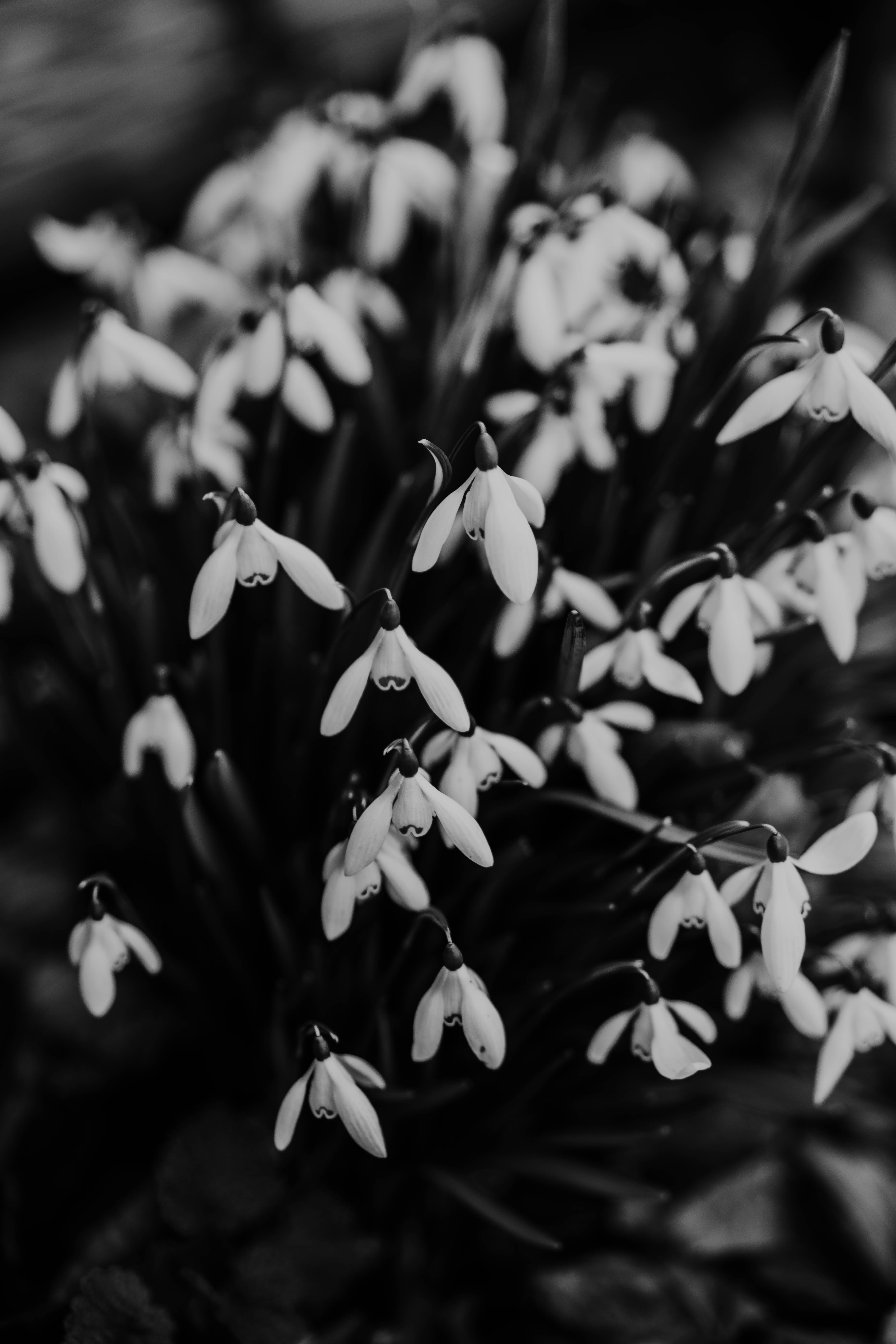 Photo by philhearing