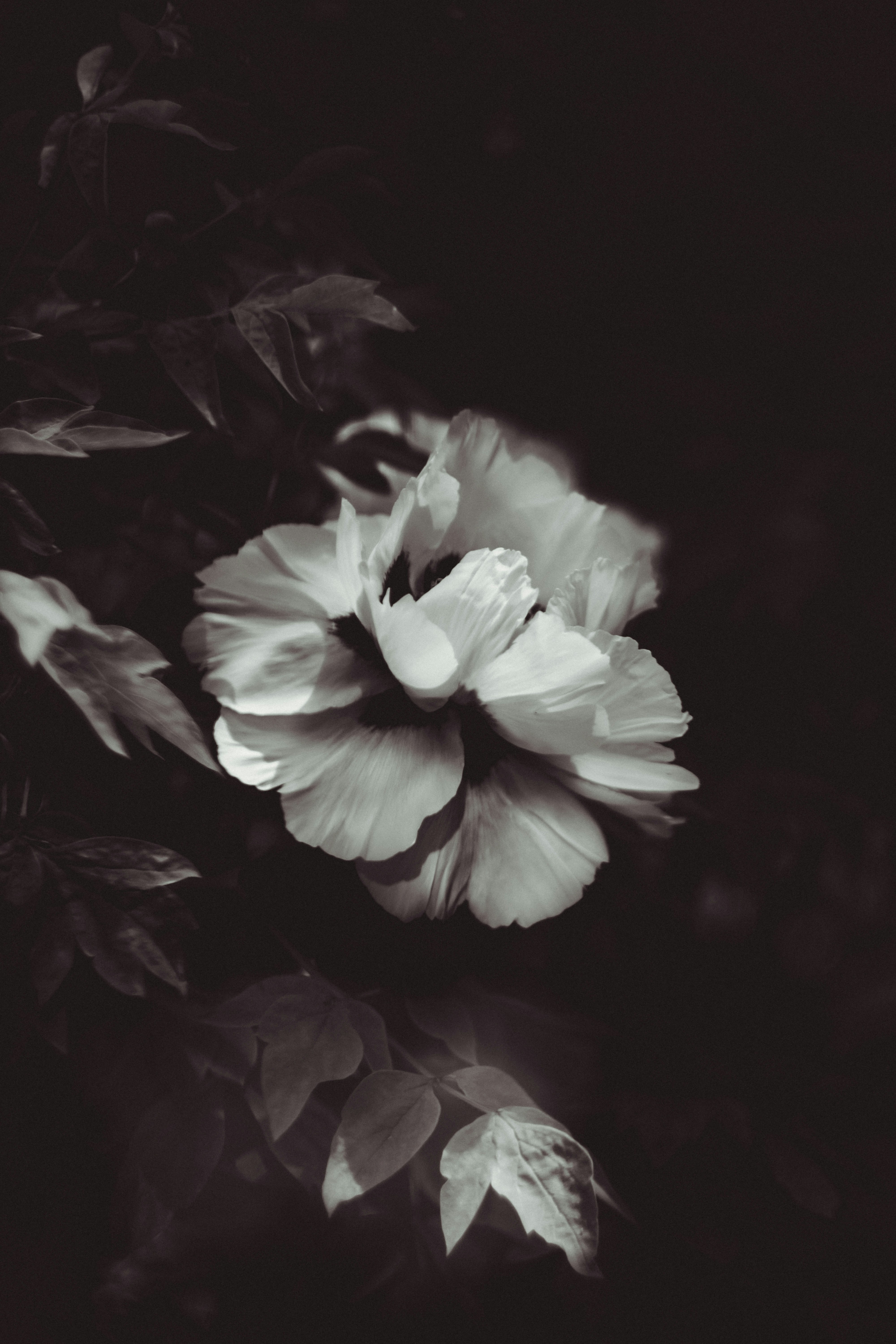 Photo by mineral_of_demon