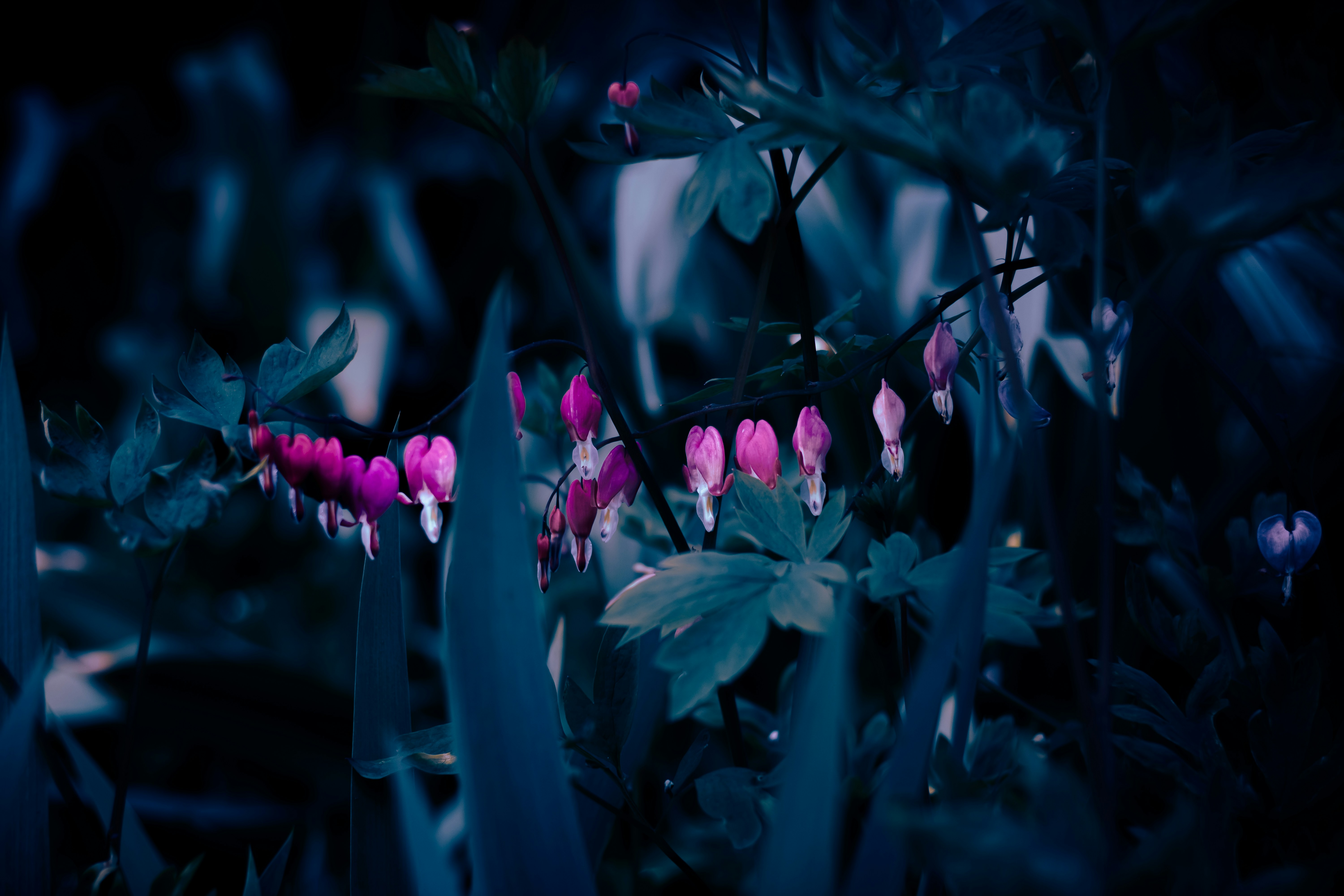 Photo by mineral_of_demon