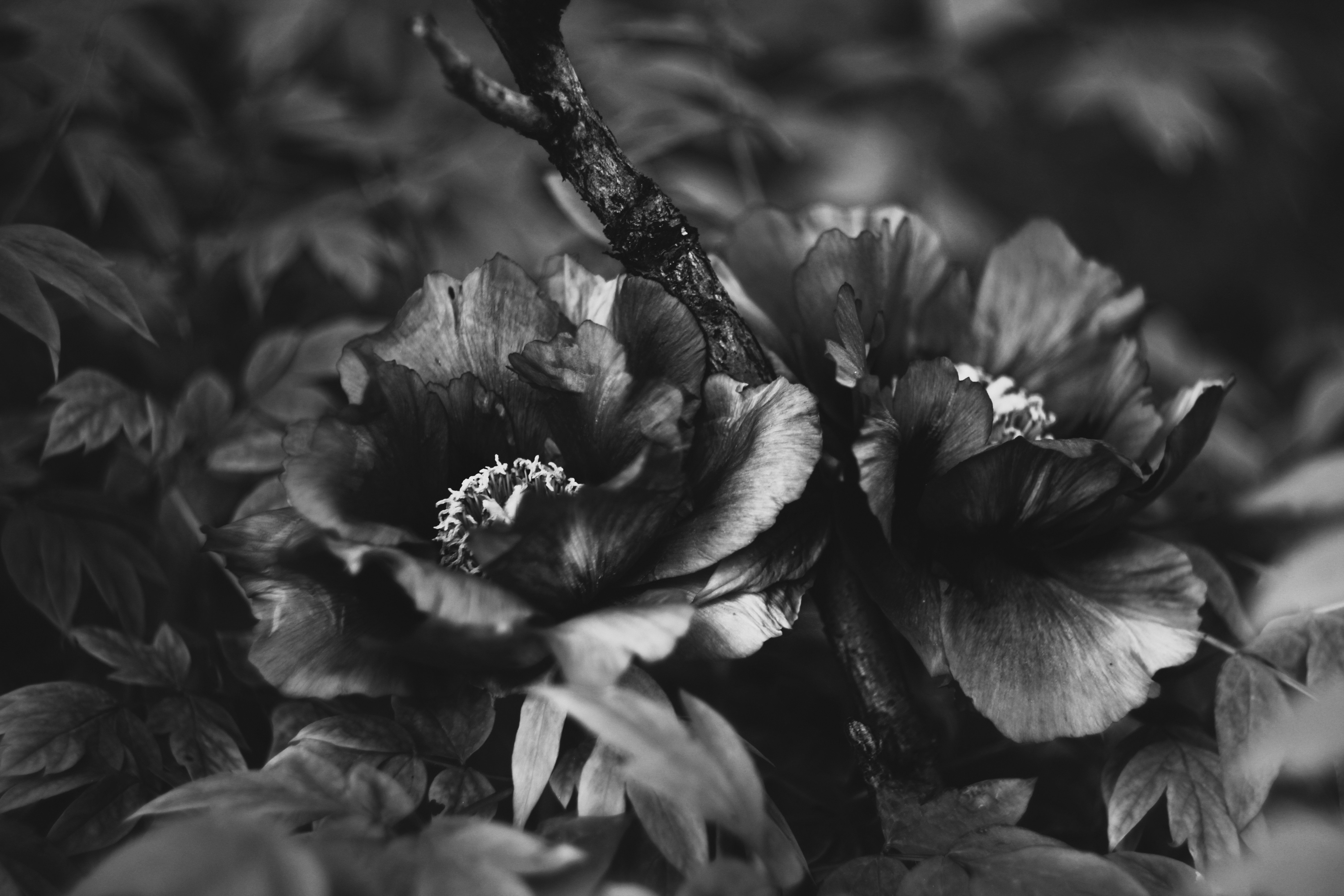 Photo by mineral_of_demon