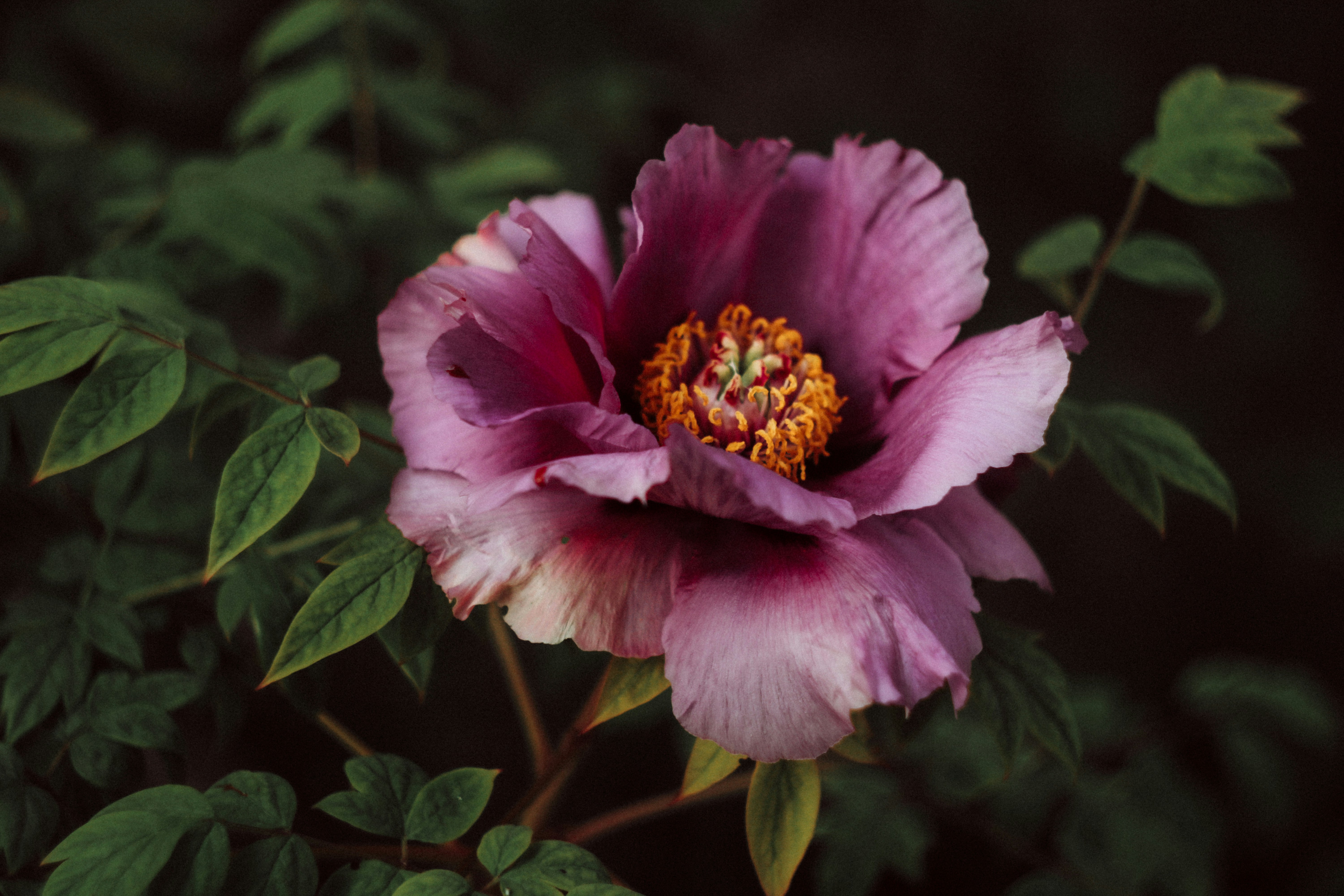 Photo by mineral_of_demon