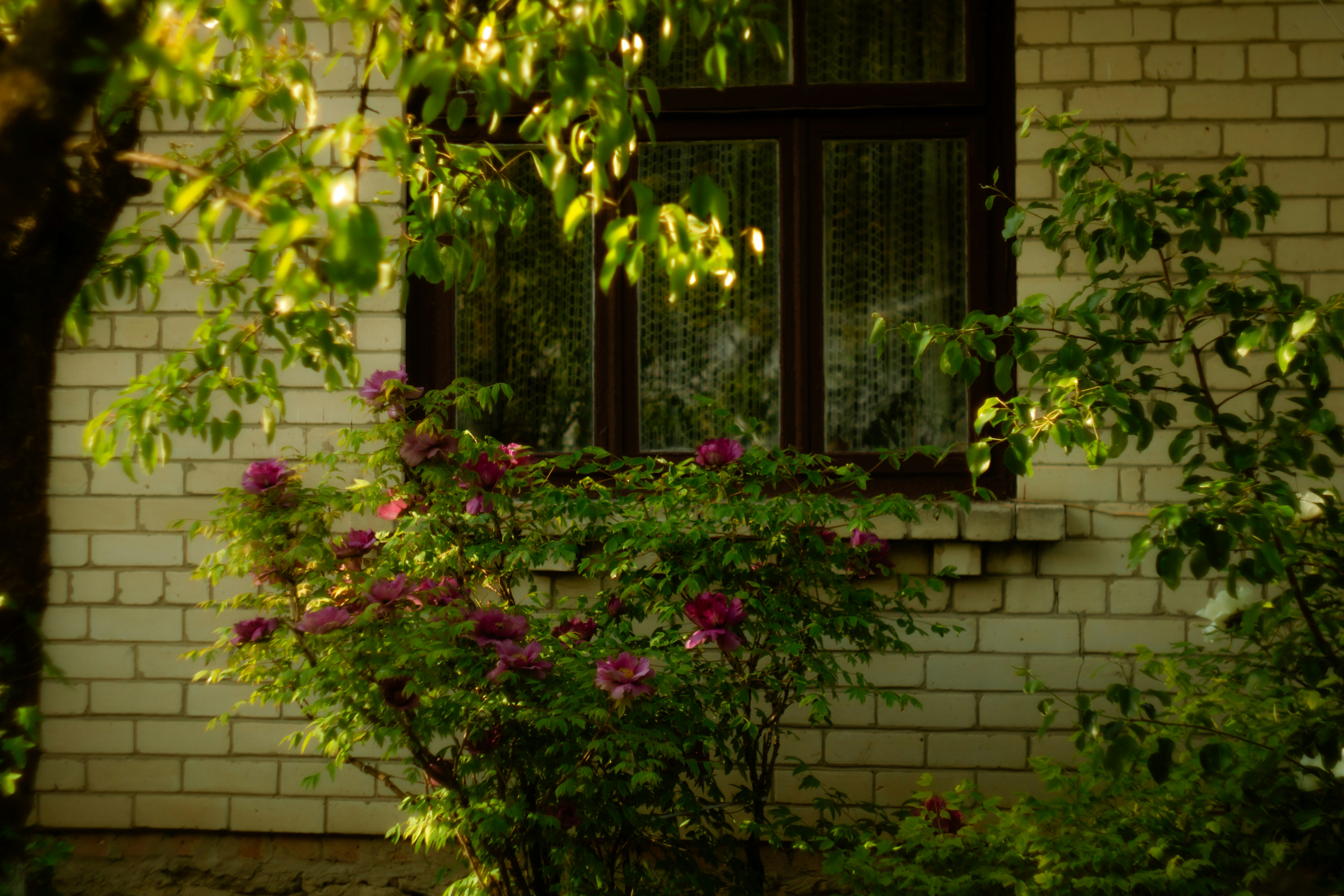 Photo by mineral_of_demon