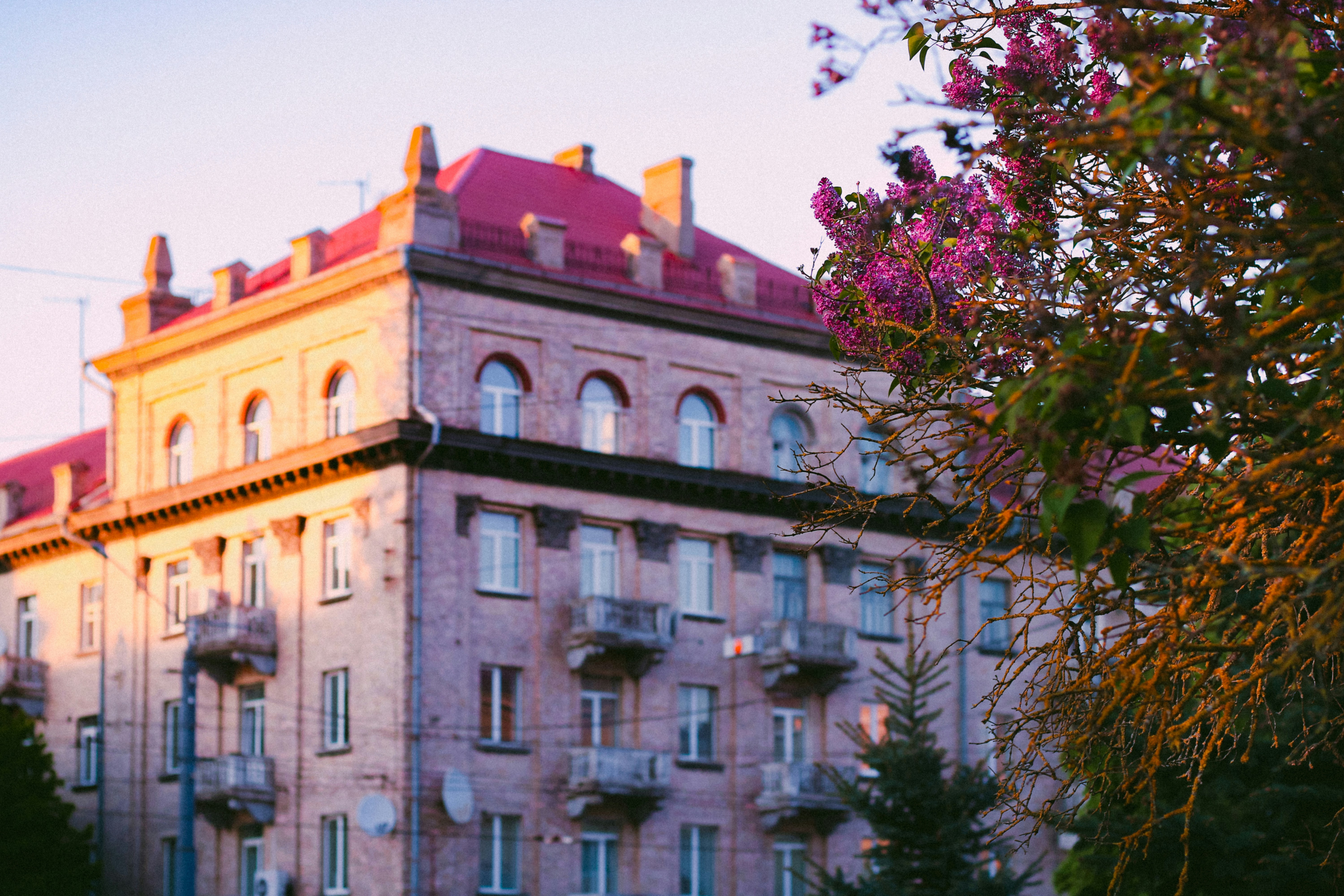 Photo by mineral_of_demon