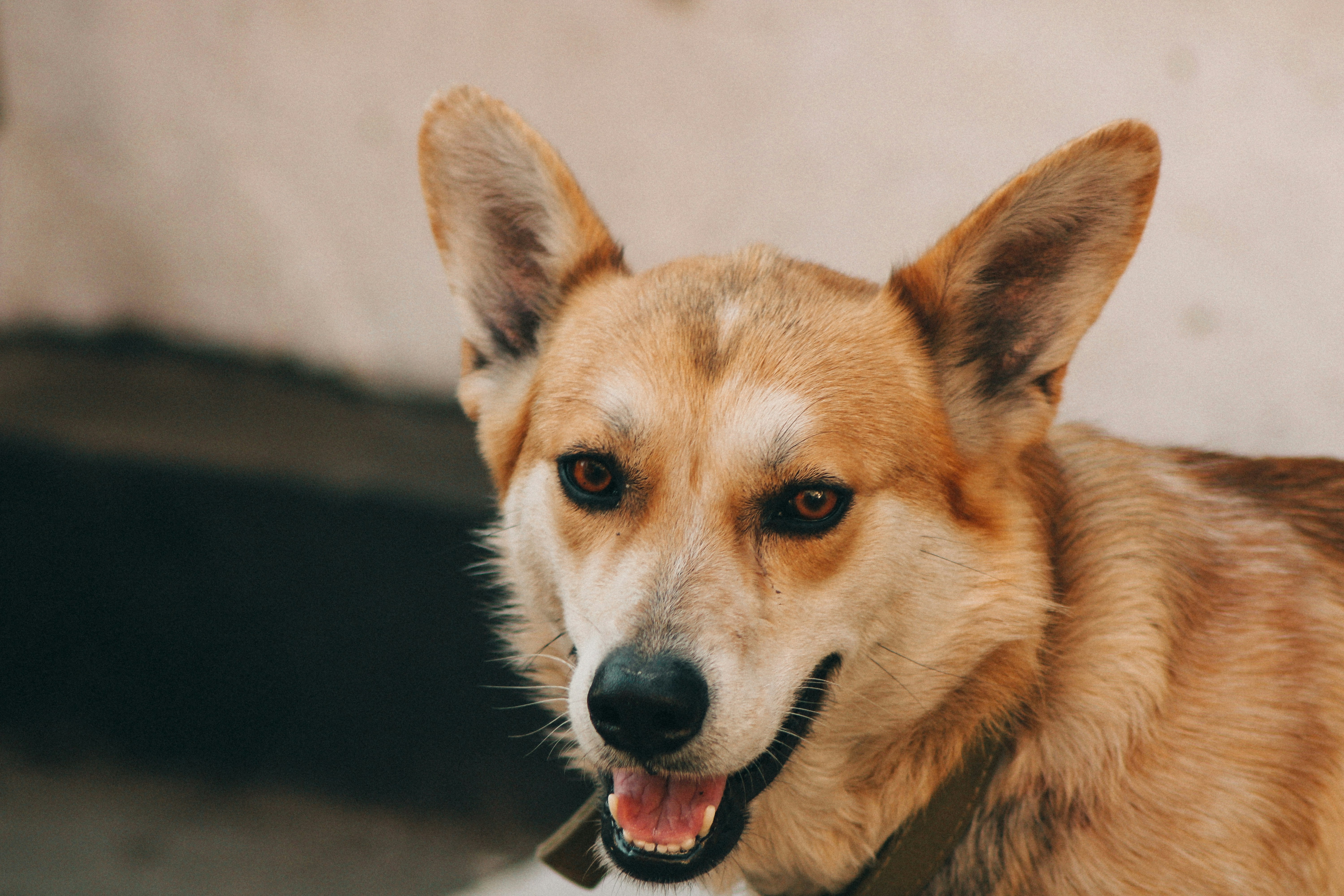 Photo by mineral_of_demon