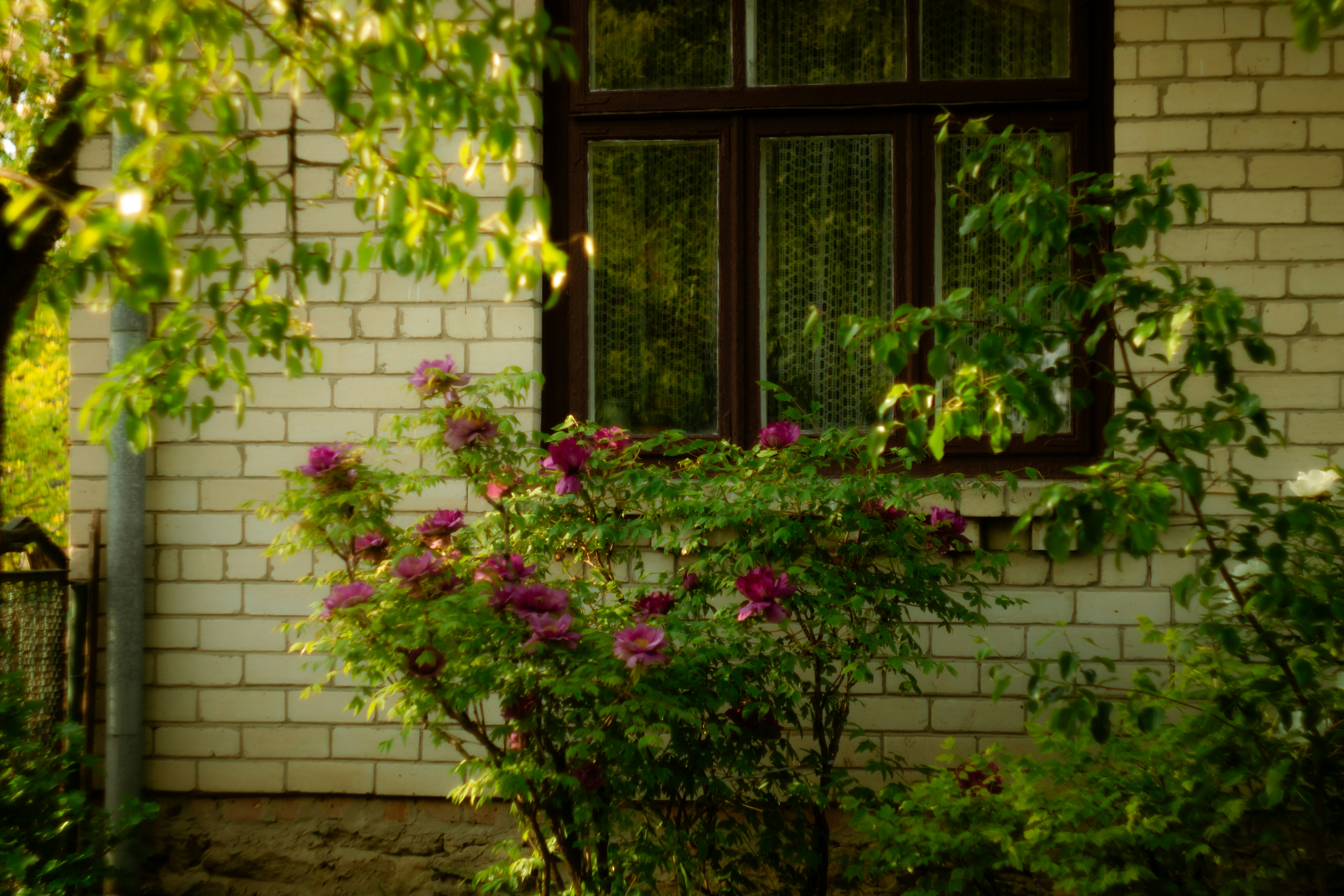 Photo by mineral_of_demon