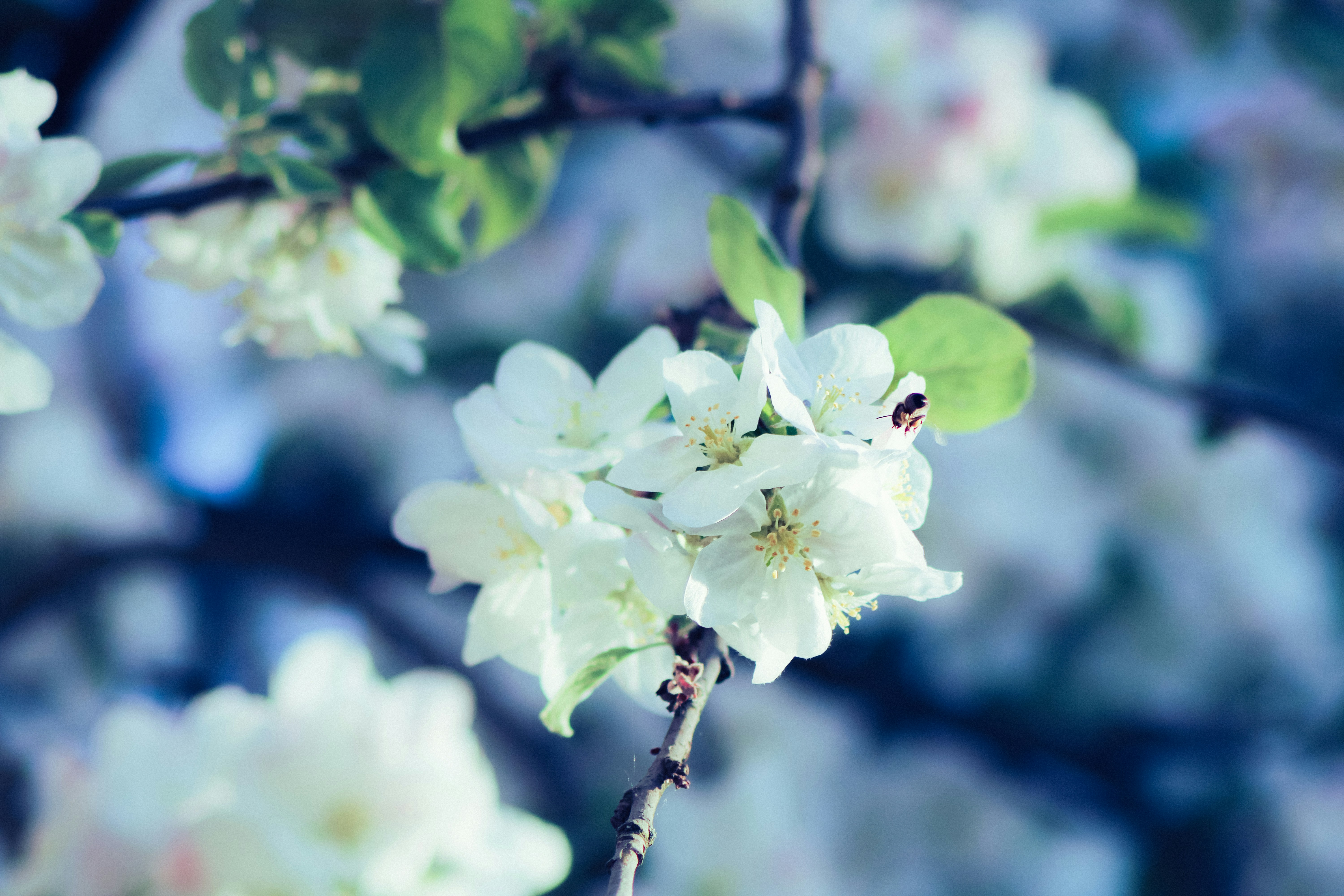 Photo by mineral_of_demon