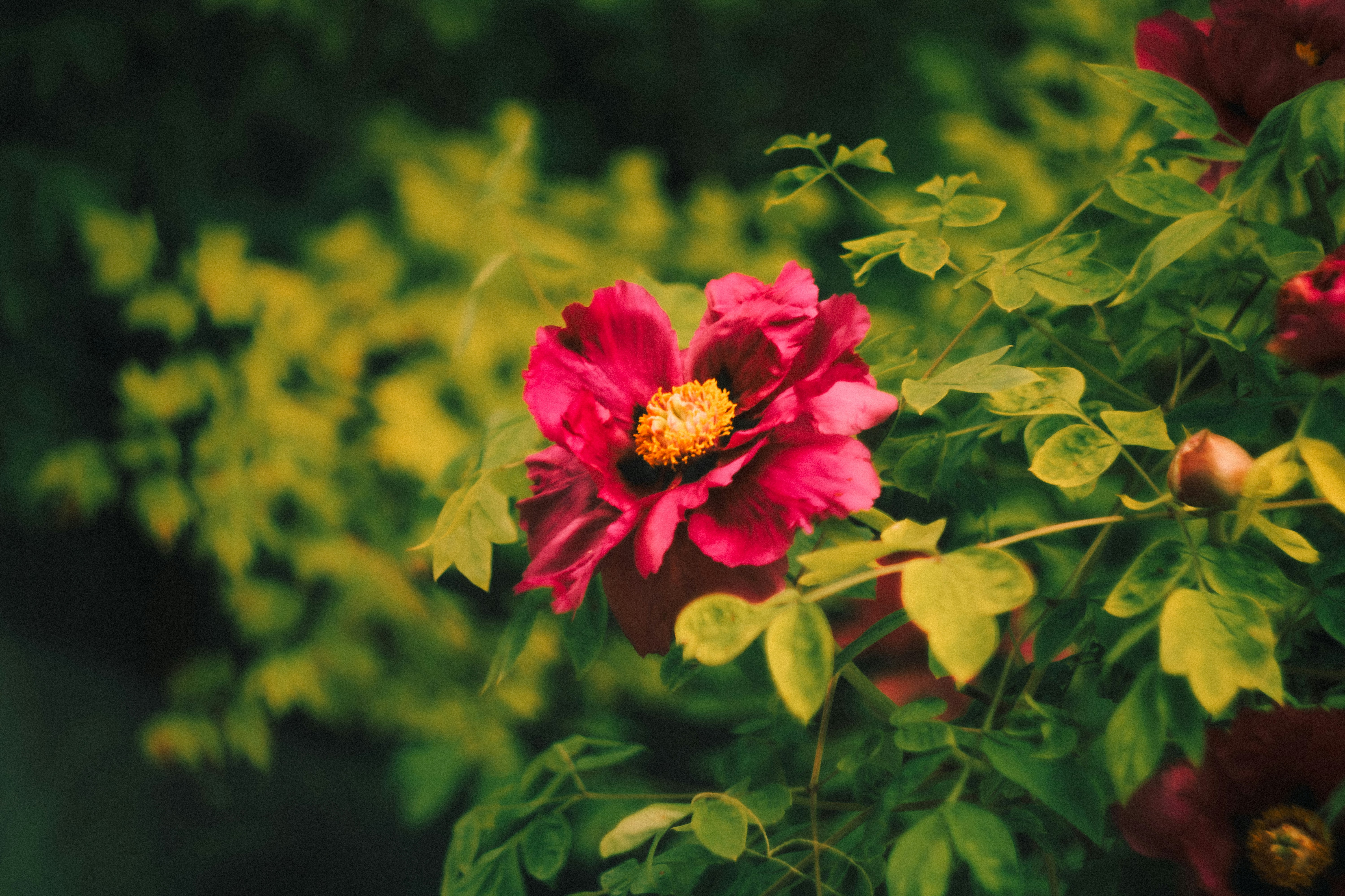 Photo by mineral_of_demon