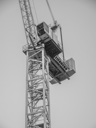 A black and white photo of a crane