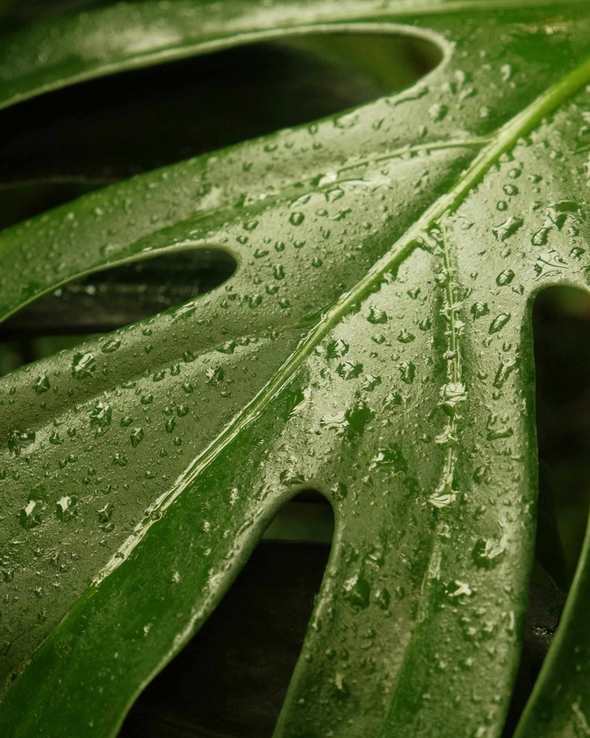 Photo by willythewizard