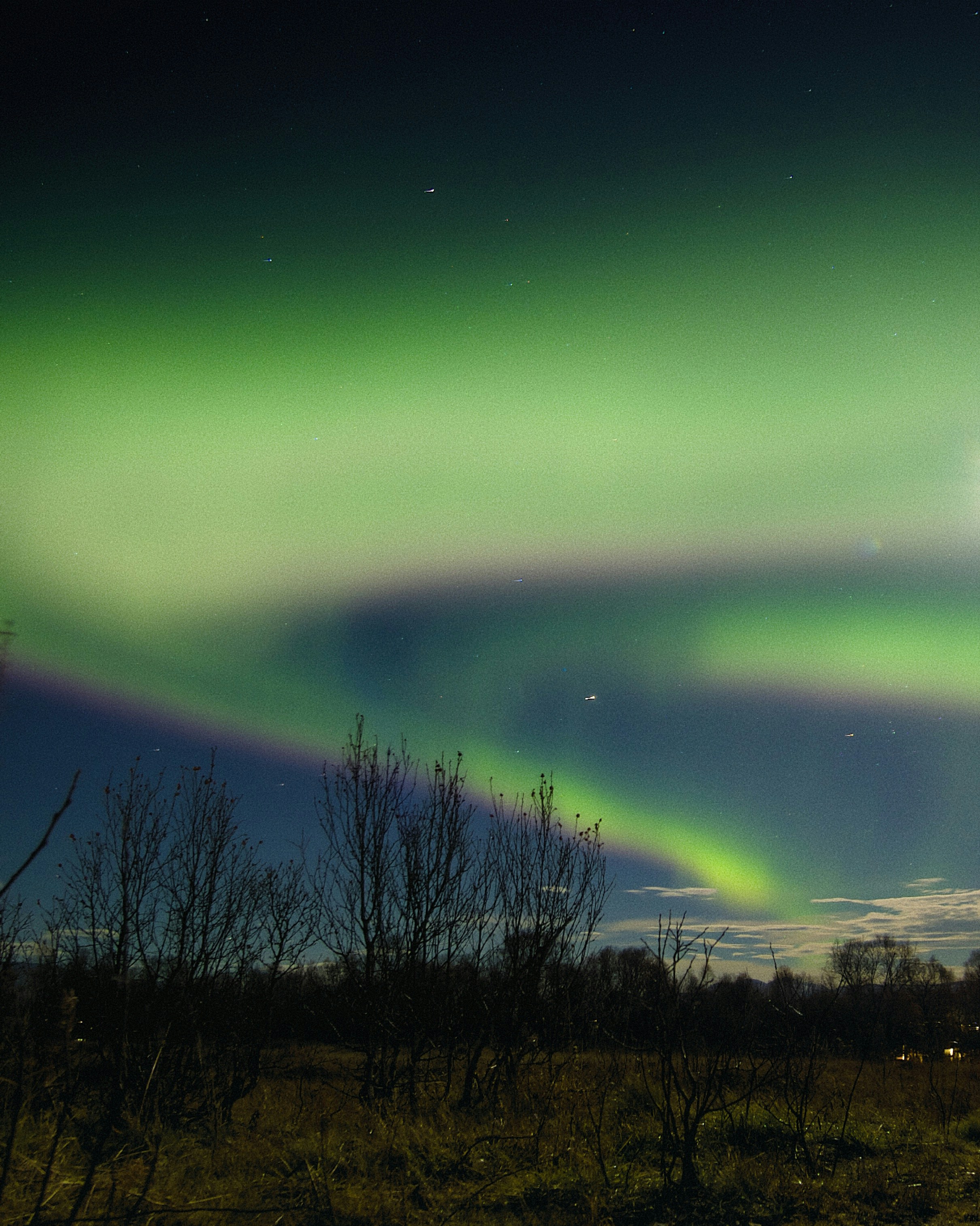 Photo by willythewizard