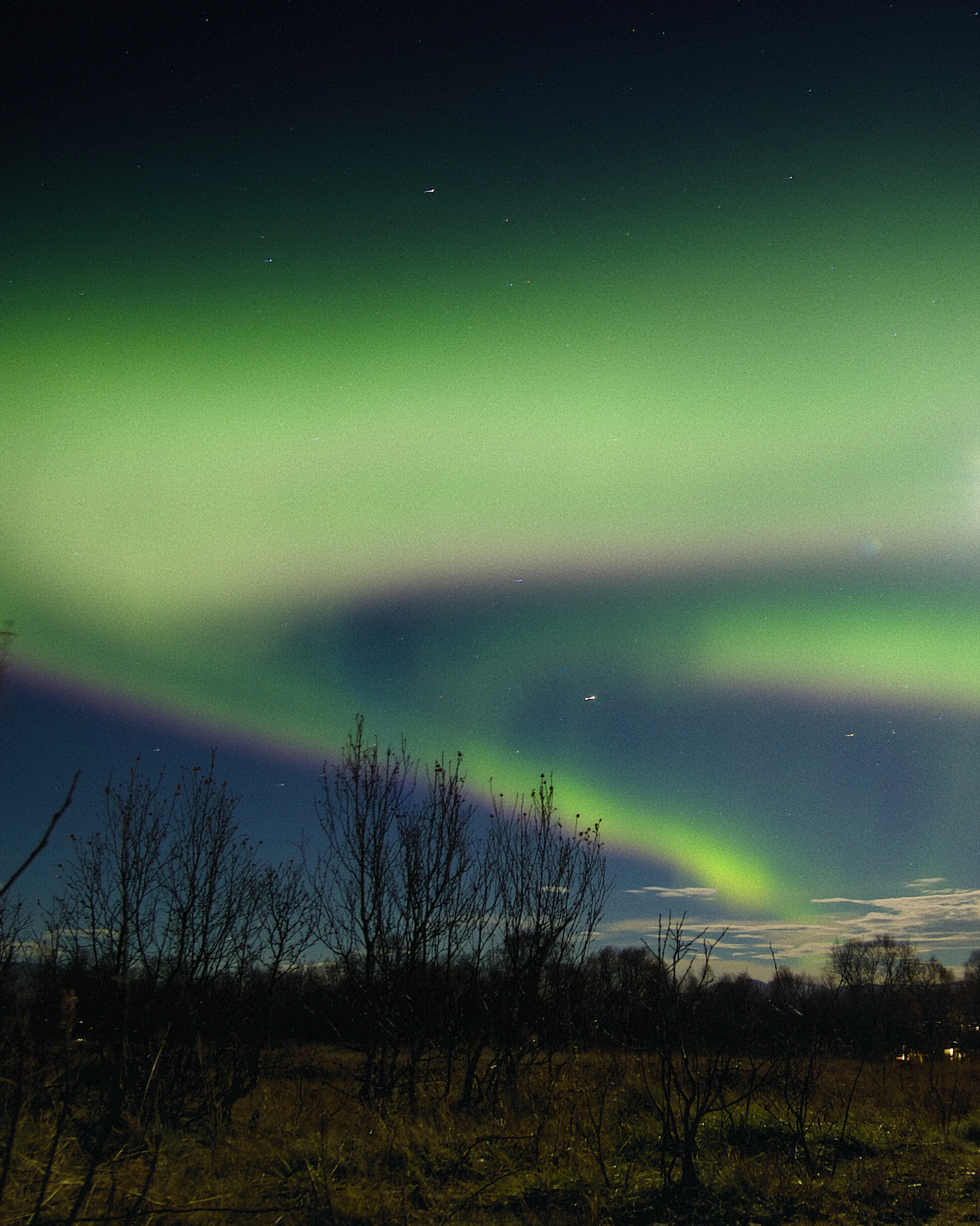 Green aurora above the snowy landscape near Tromsø
