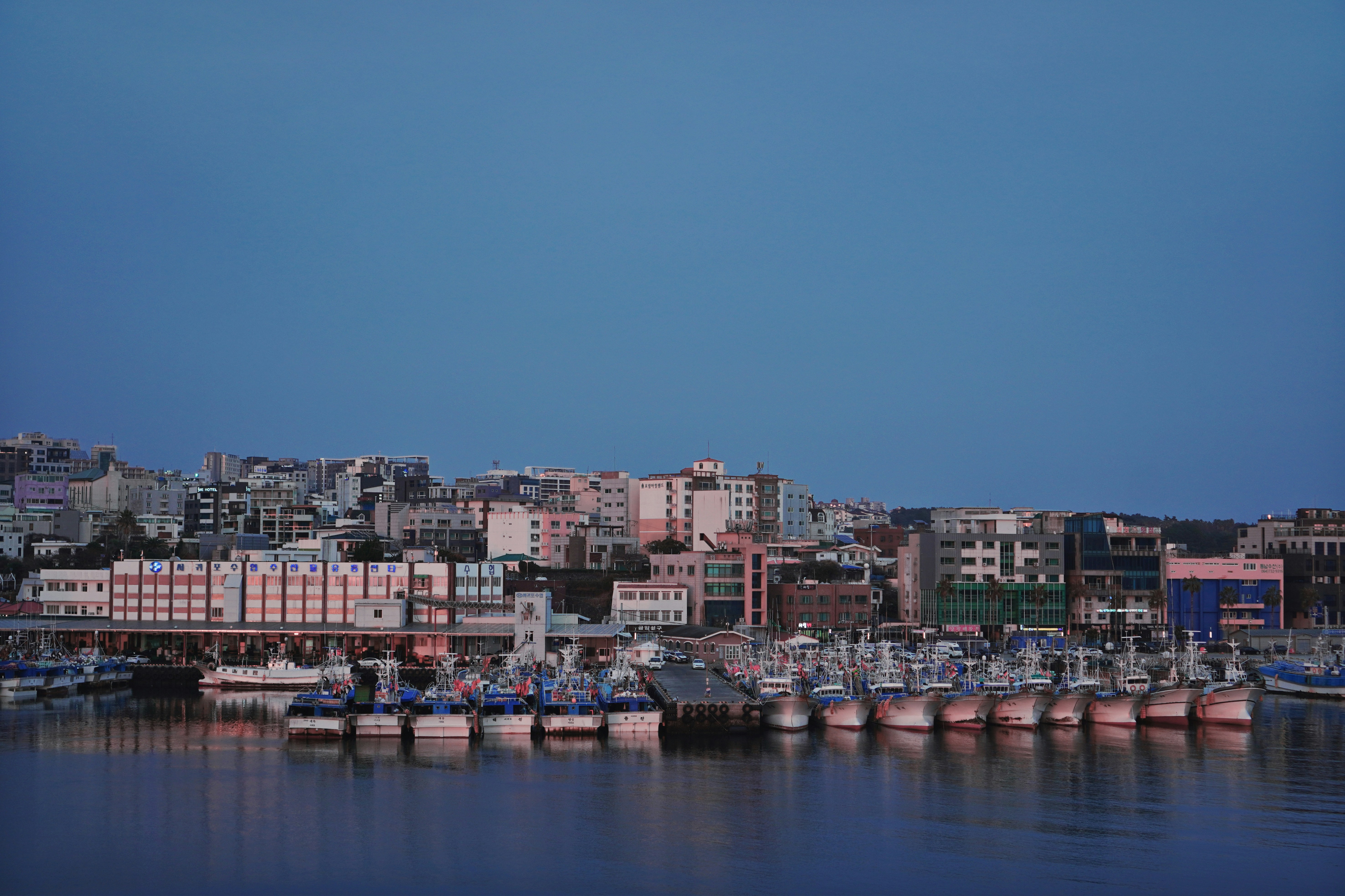 A large body of water with a city in the background