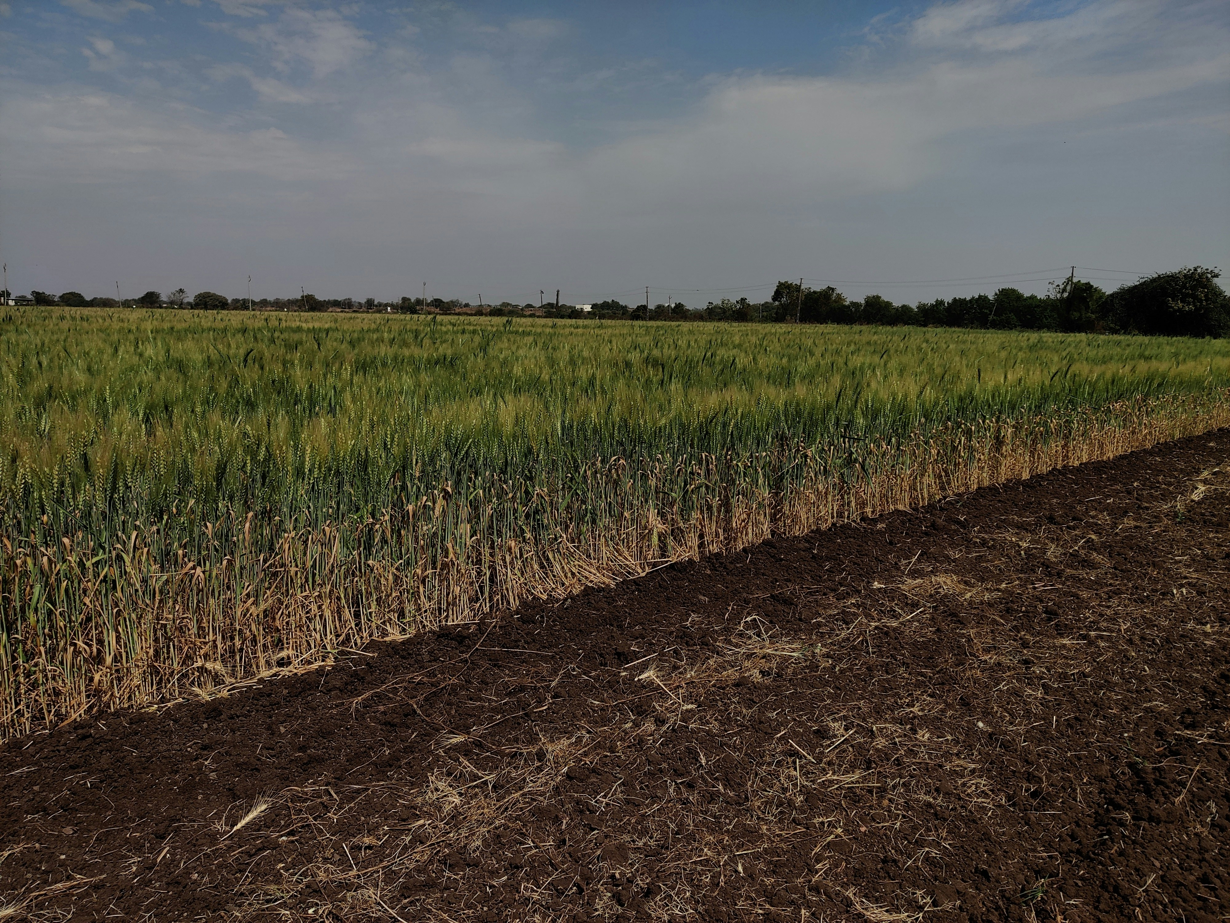 Photo by dgcreativecorner