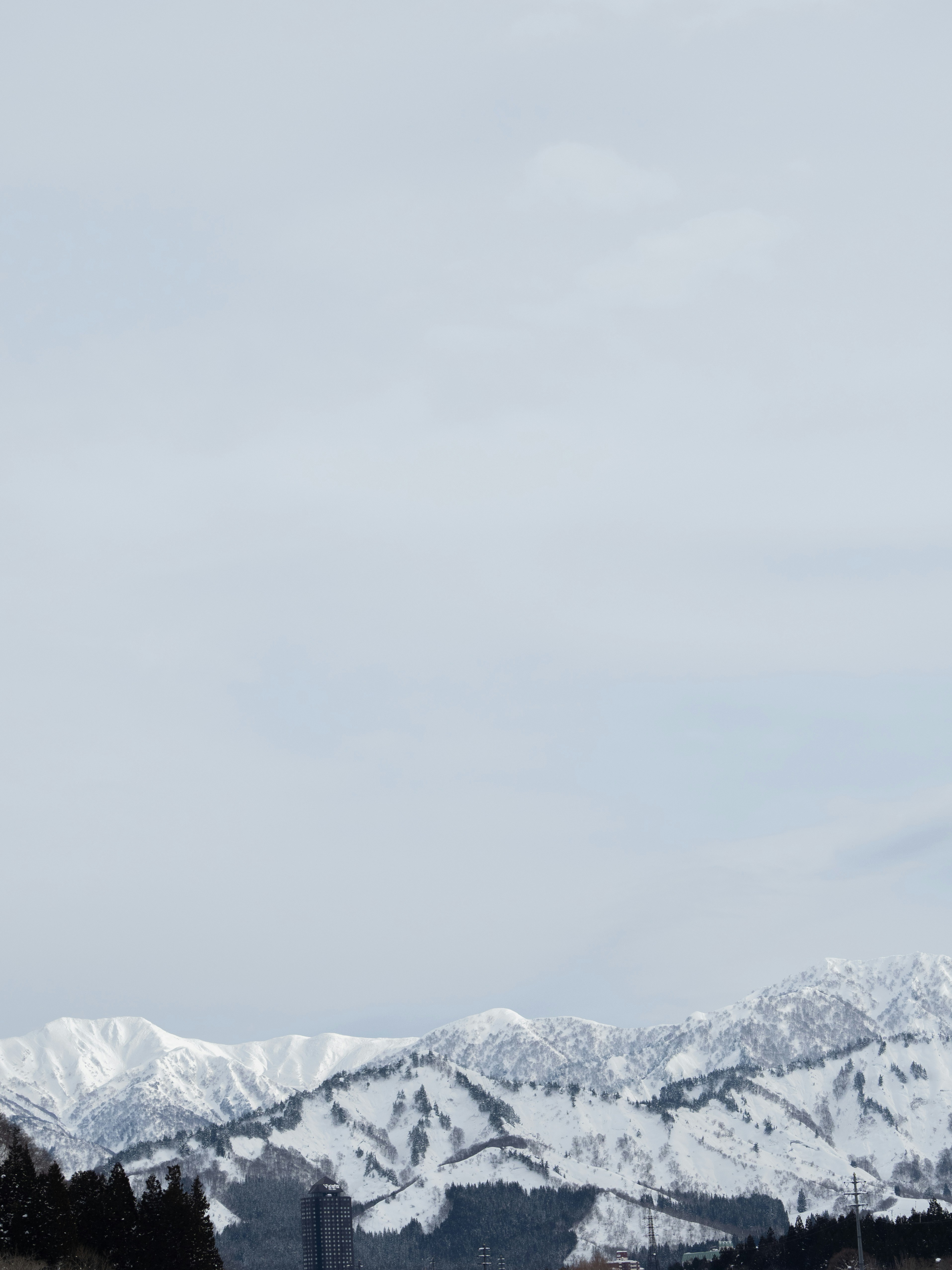 Photo by shellingfordyu