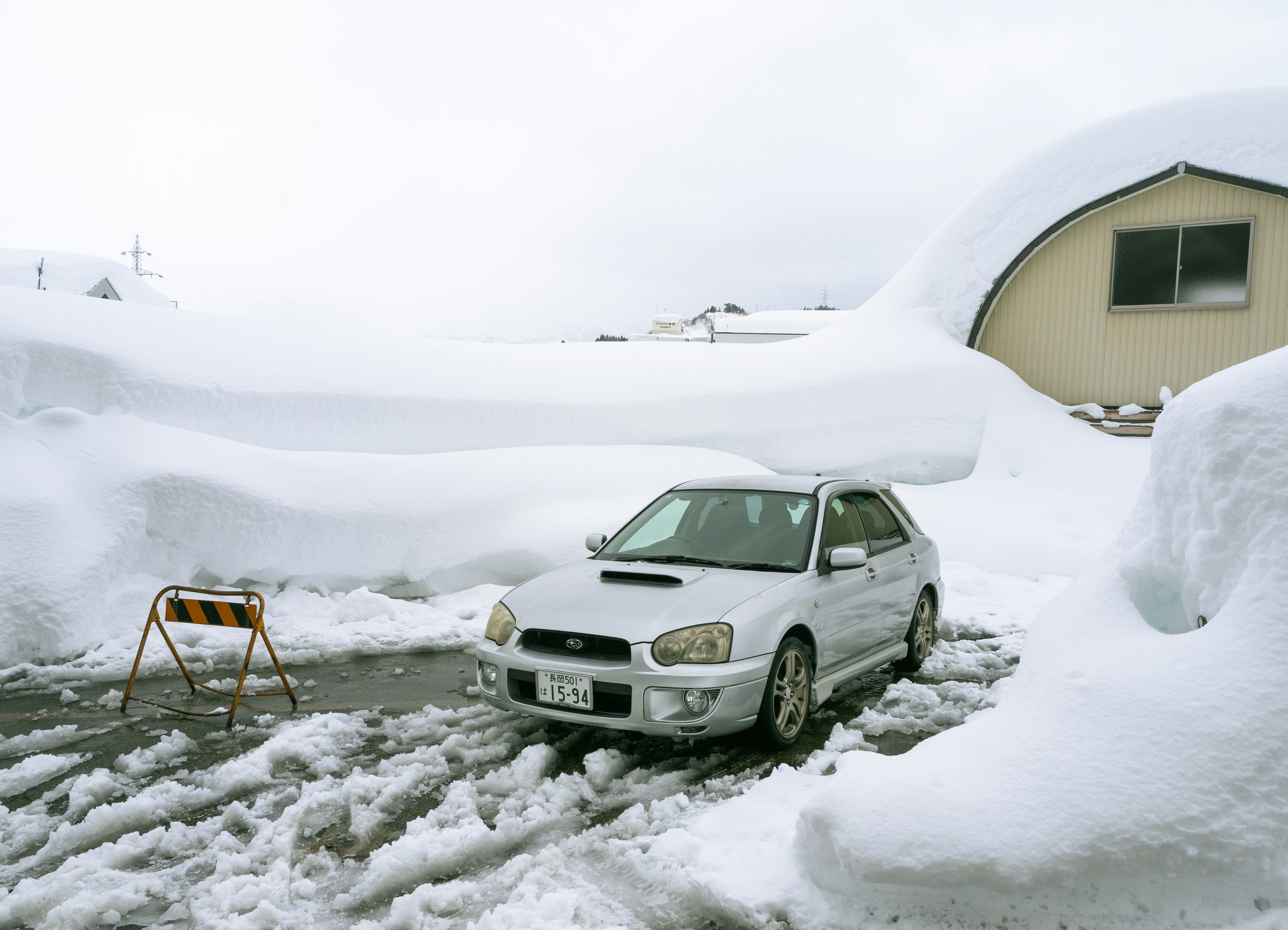 Photo by shellingfordyu