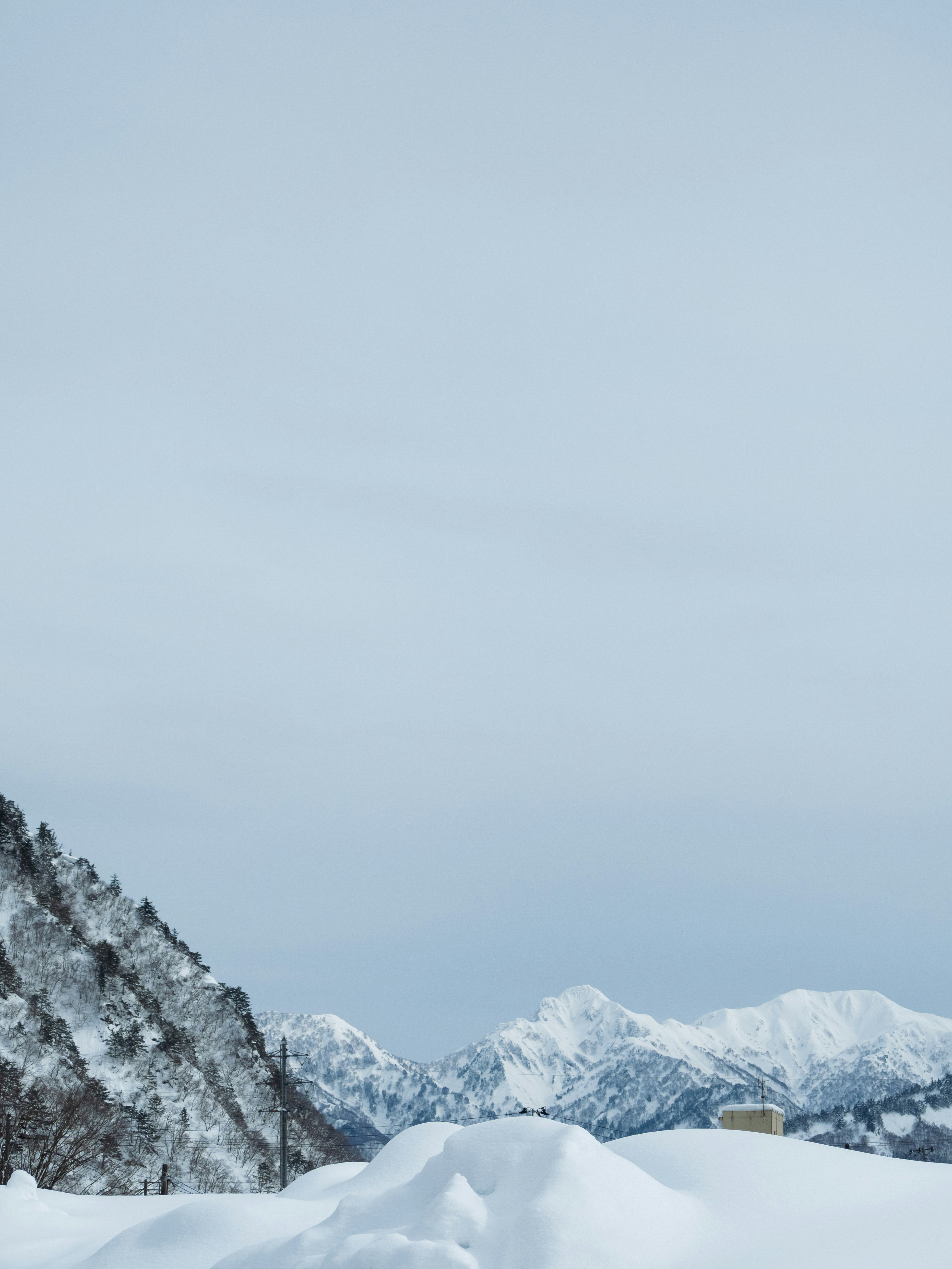 Photo by shellingfordyu