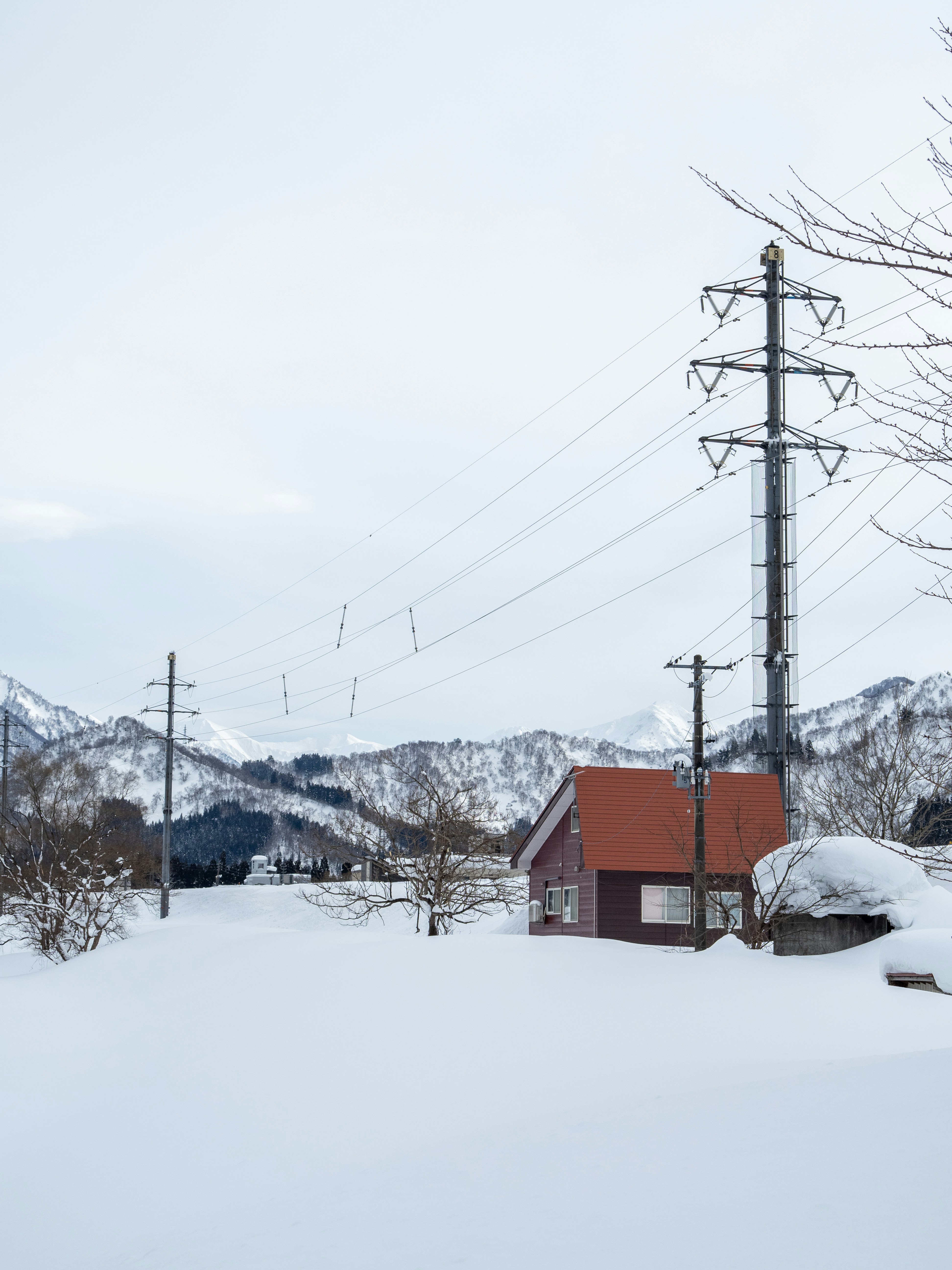 Photo by shellingfordyu