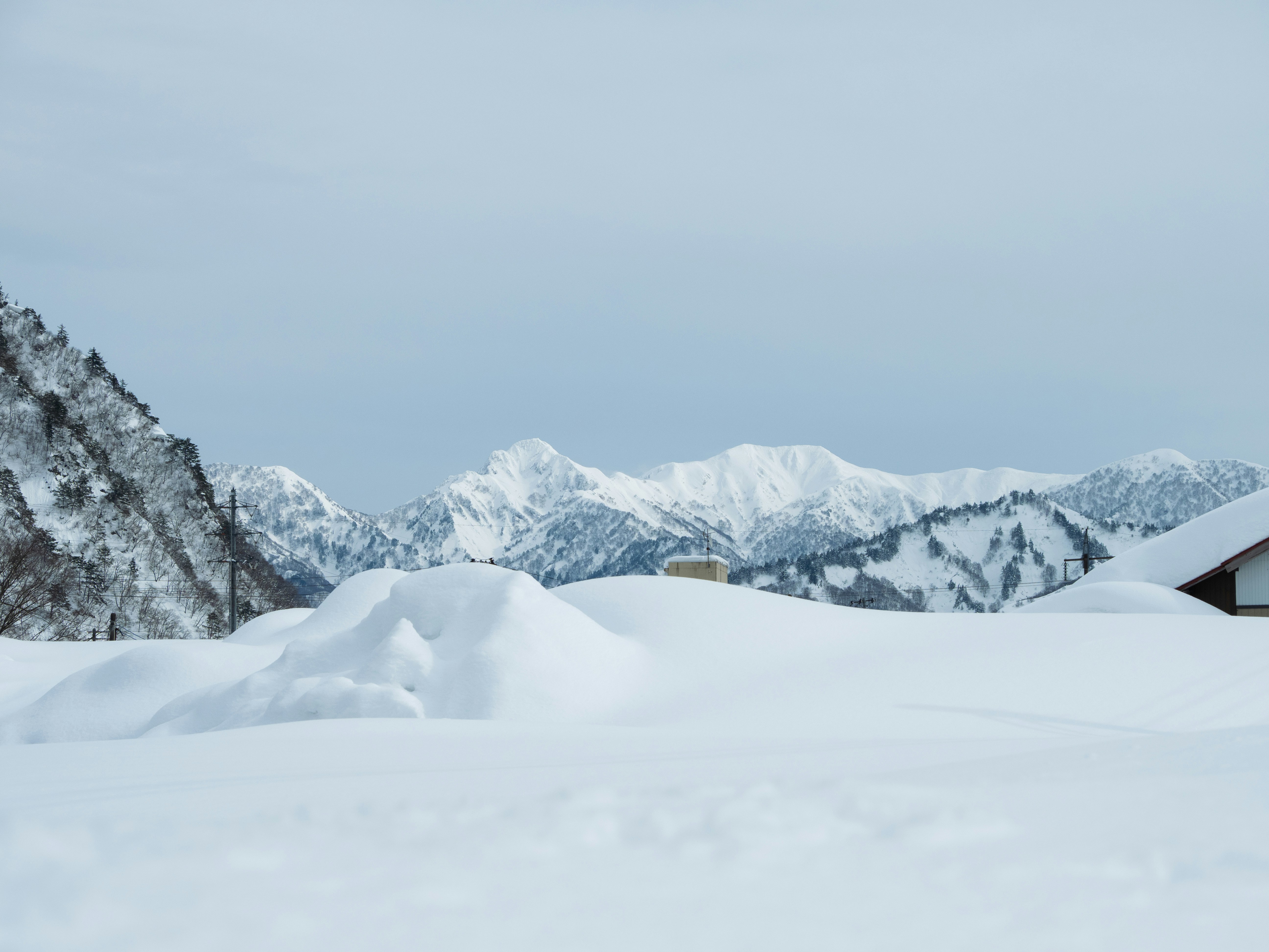 Photo by shellingfordyu